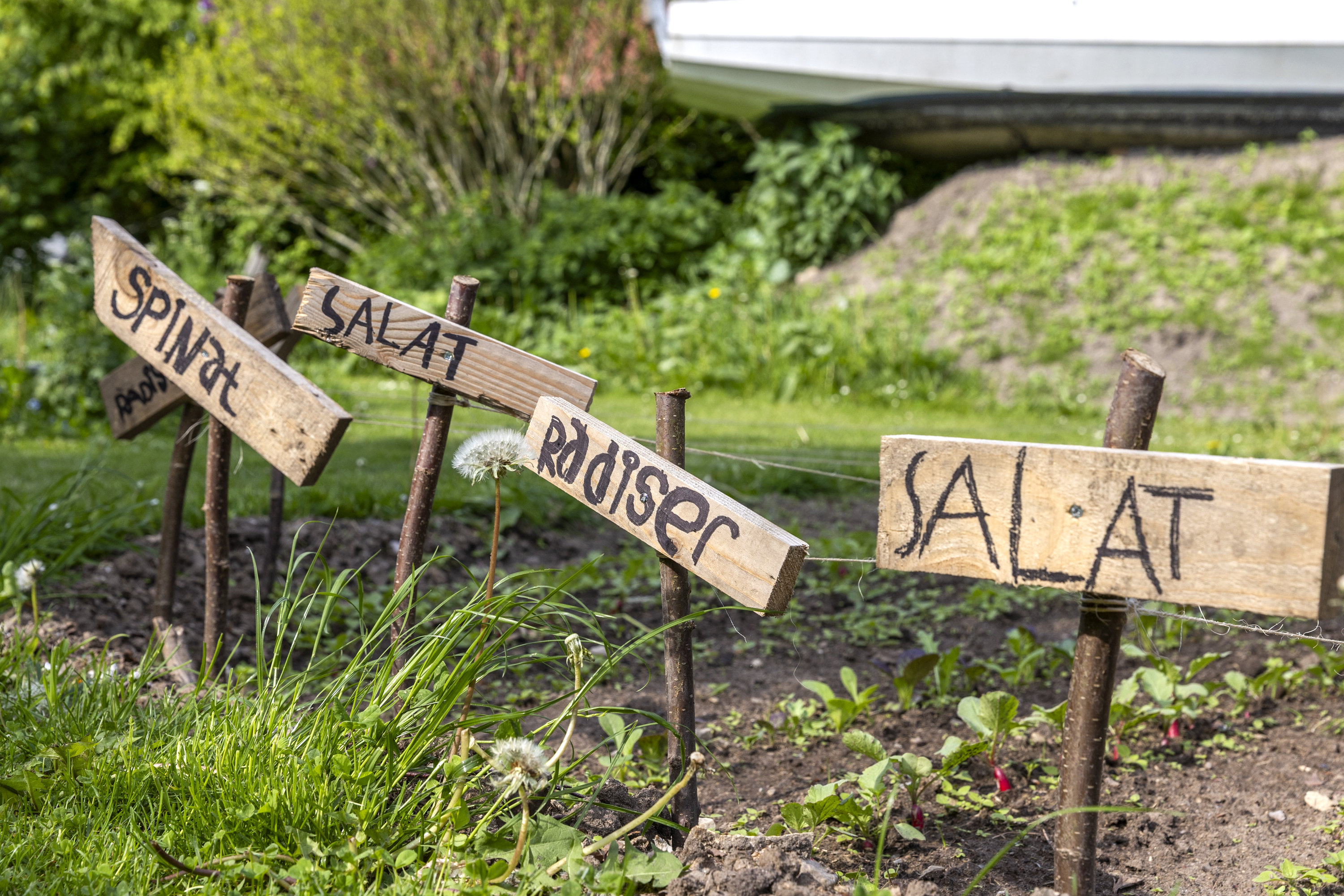 Fremhævet have billede i fuldskærmstilstand. Billede af Kulbyvej 16, 4270 Høng