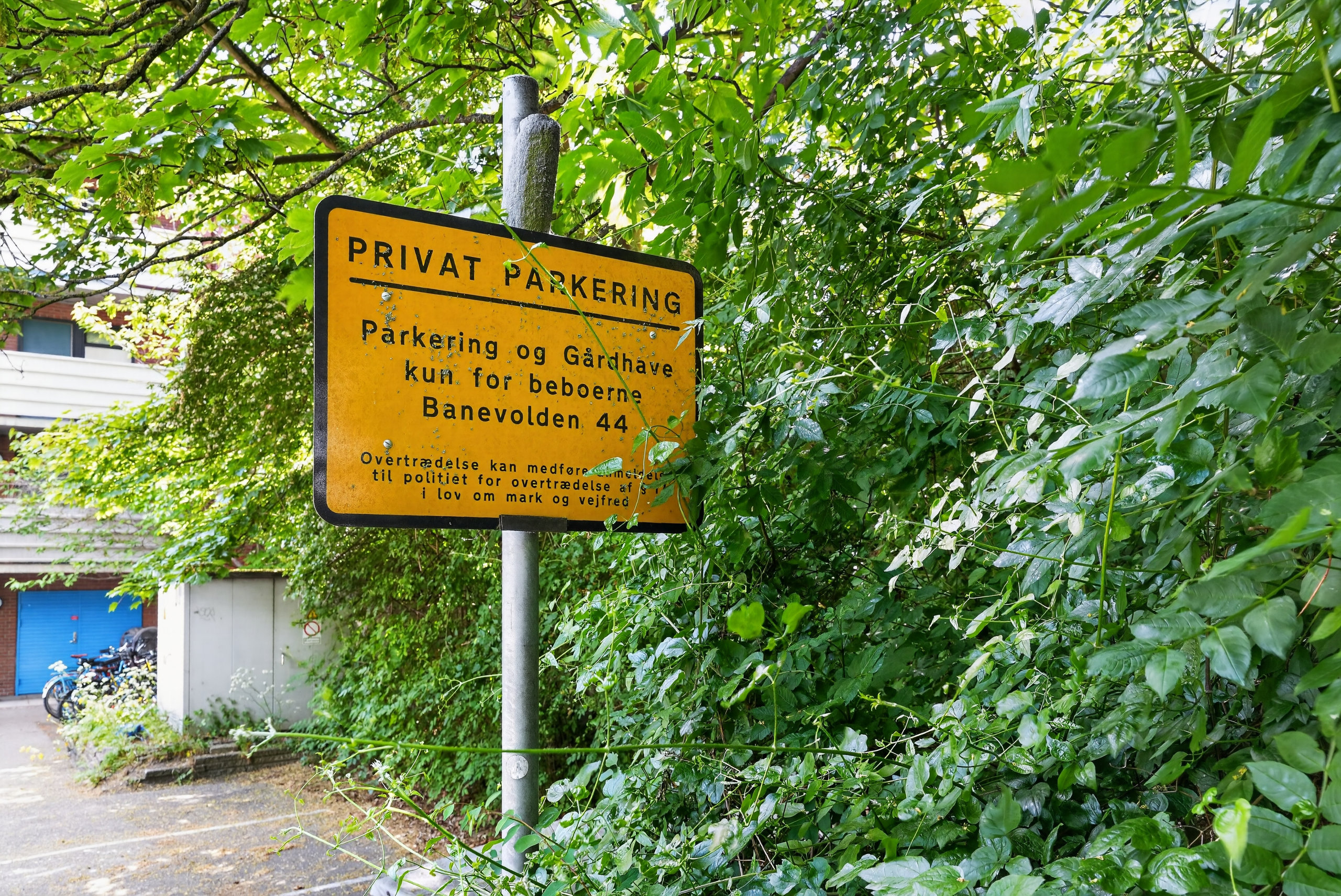 Fremhævet gårdmiljø billede i fuldskærmstilstand. Billede af Banevolden 44, 1. 8., 2500 Valby