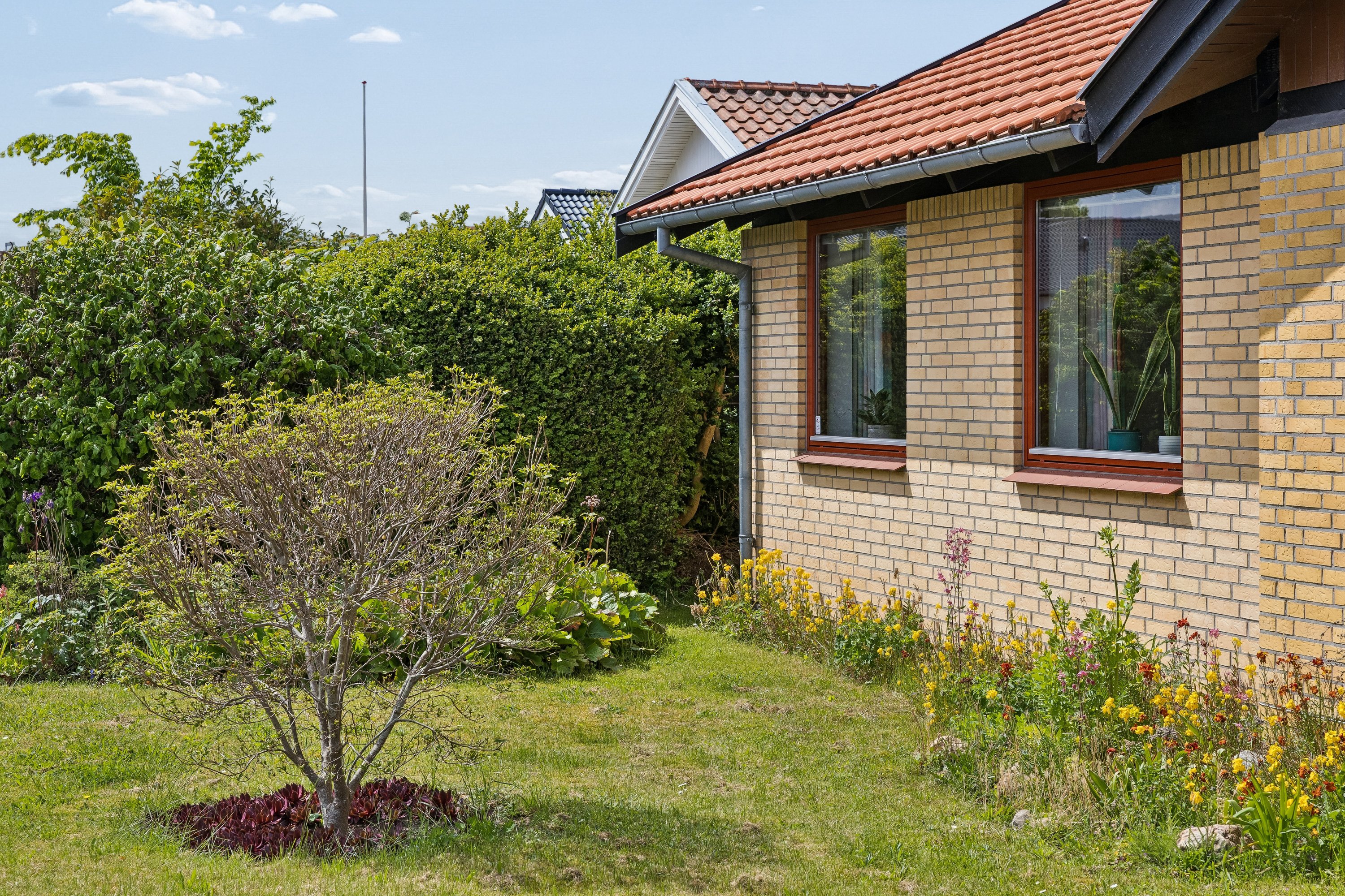 Fremhævet andet billede i fuldskærmstilstand. Billede af Hjertegræsvej 20, Slukefter, 5210 Odense NV