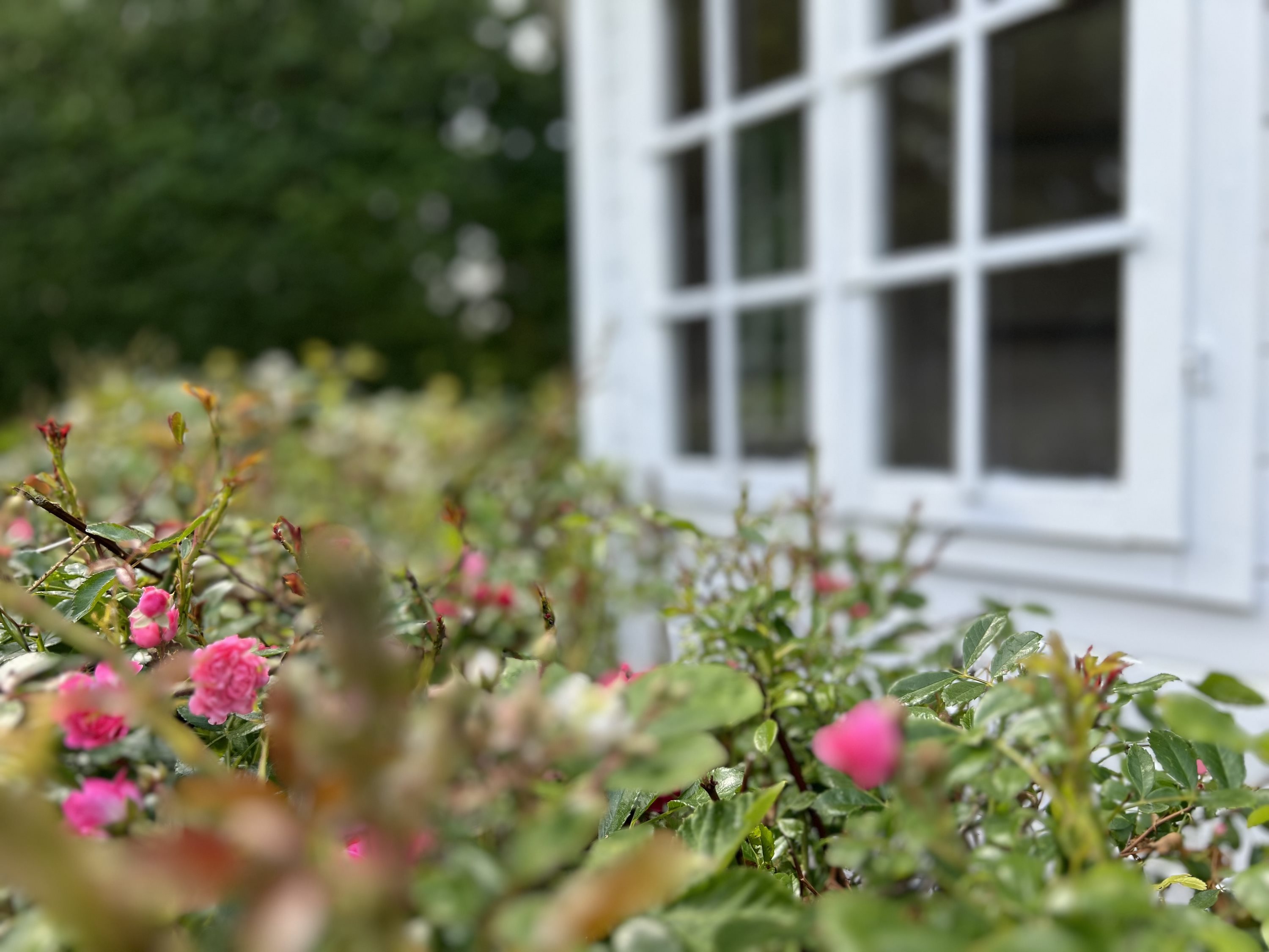 Fremhævet andet billede i fuldskærmstilstand. Billede af Møllevej 4, 8732 Hovedgård