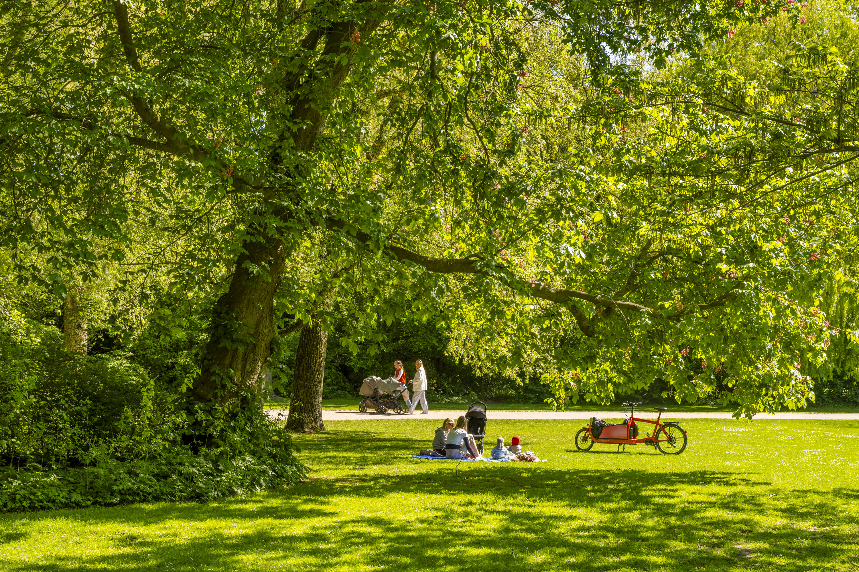 Fremhævet  billede i fuldskærmstilstand. Billede af Ved Andebakken 9, st.. th., 2000 Frederiksberg
