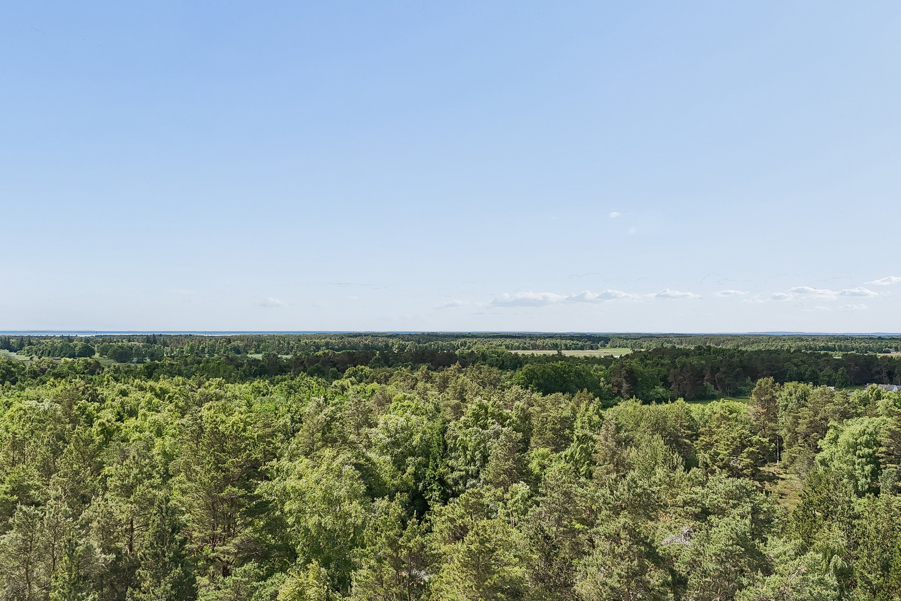 Fremhævet omgivelser billede i fuldskærmstilstand. Billede af På Remmerne 17, Byrum, 9940 Læsø