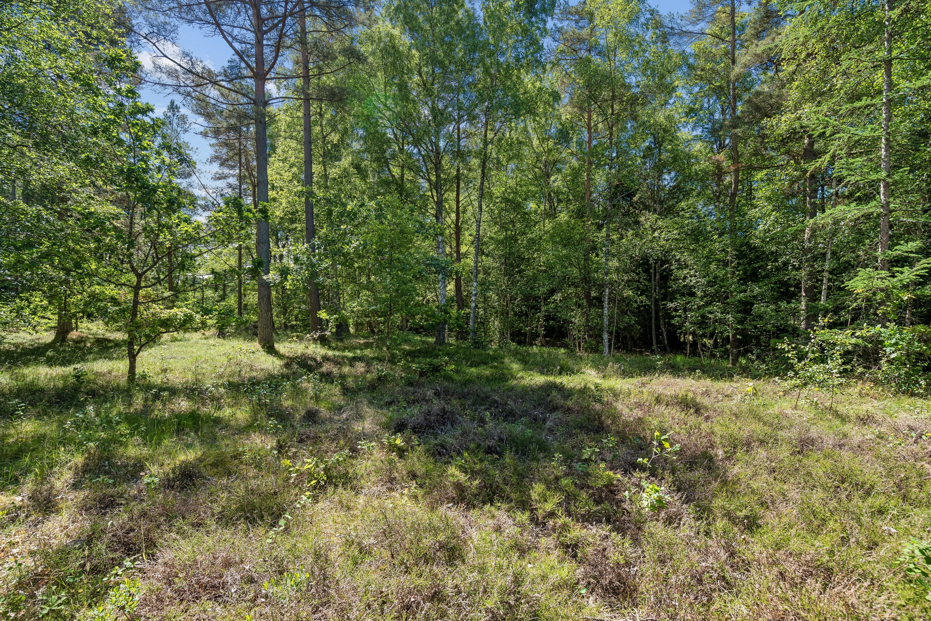 Fremhævet grund billede i fuldskærmstilstand. Billede af På Remmerne 17, Byrum, 9940 Læsø
