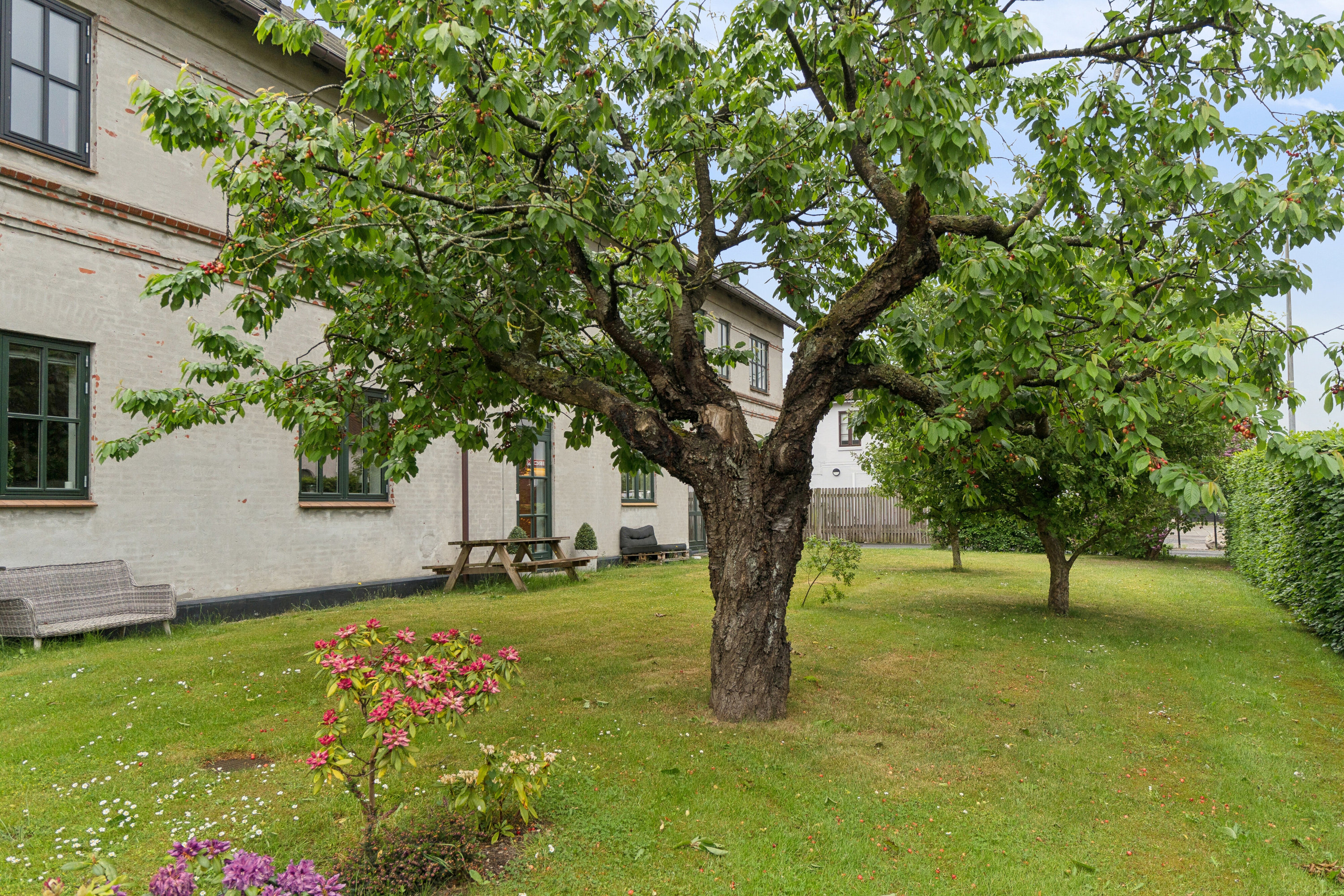 Fremhævet set fra haven billede i fuldskærmstilstand. Billede af Mosevej 3A, st.., 2970 Hørsholm