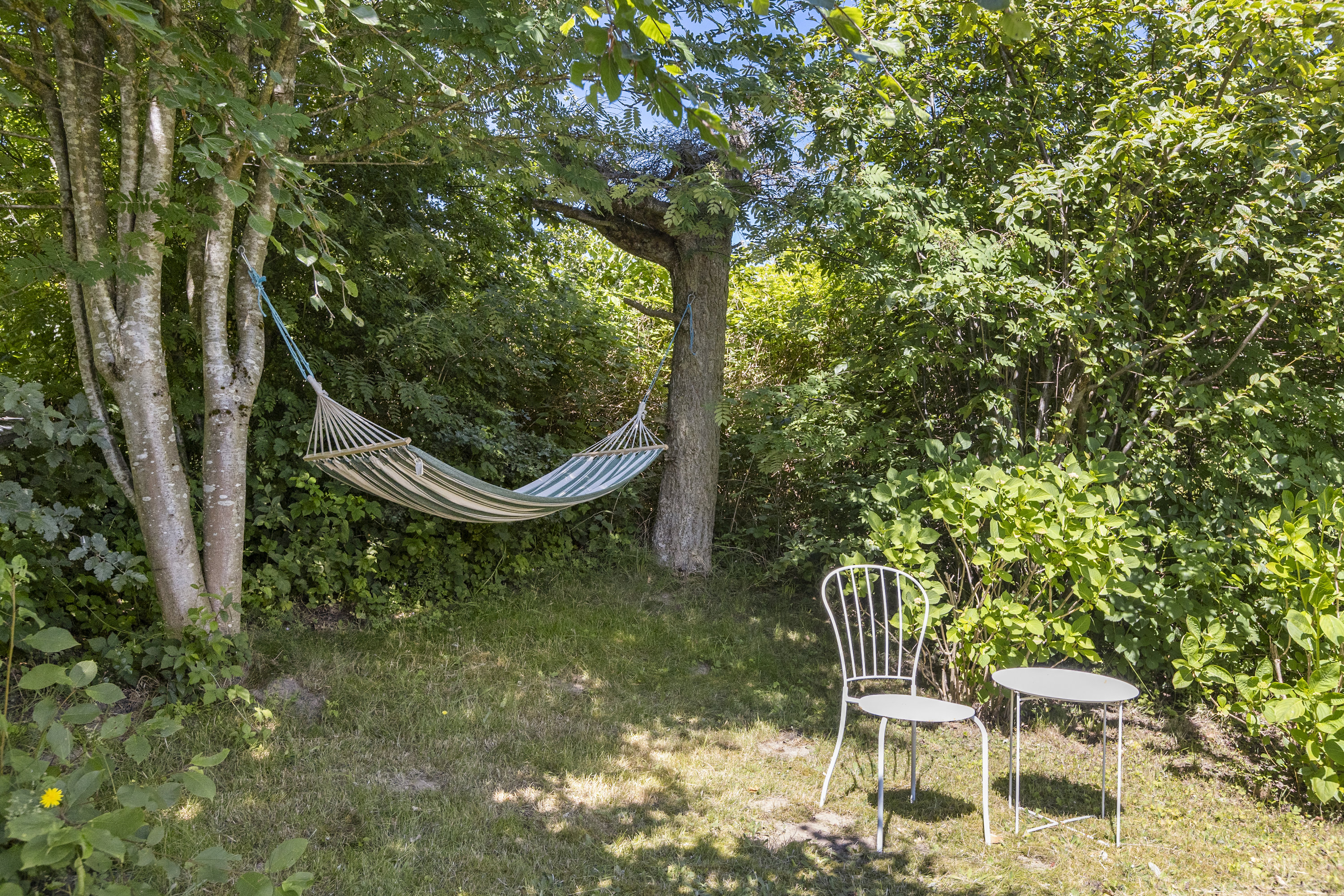 Fremhævet have billede i fuldskærmstilstand. Billede af Baldershøj 33, Veddinge, 4540 Fårevejle