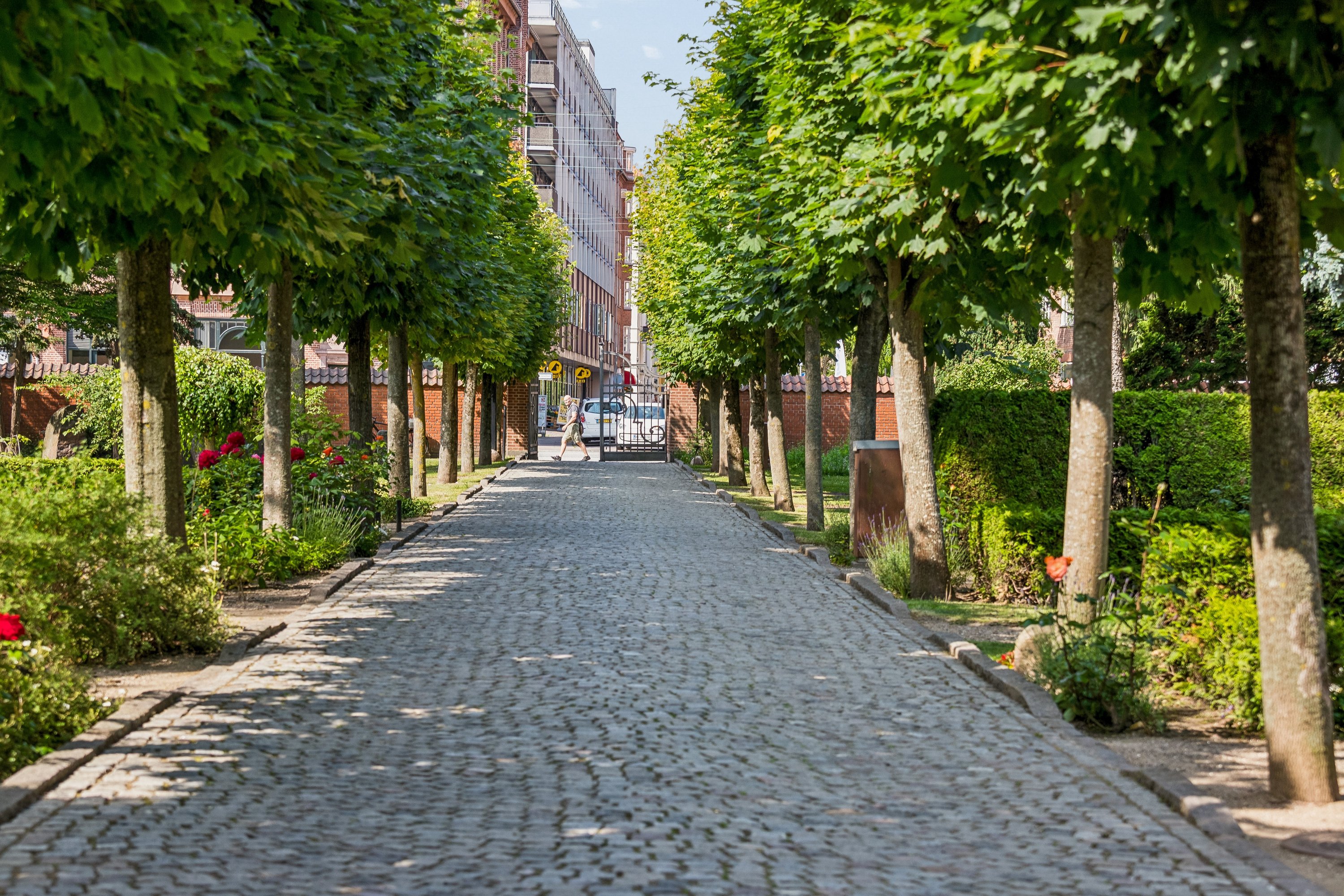 Fremhævet omgivelser billede i fuldskærmstilstand. Billede af Norgesgade 2, 4. th., 2300 København S