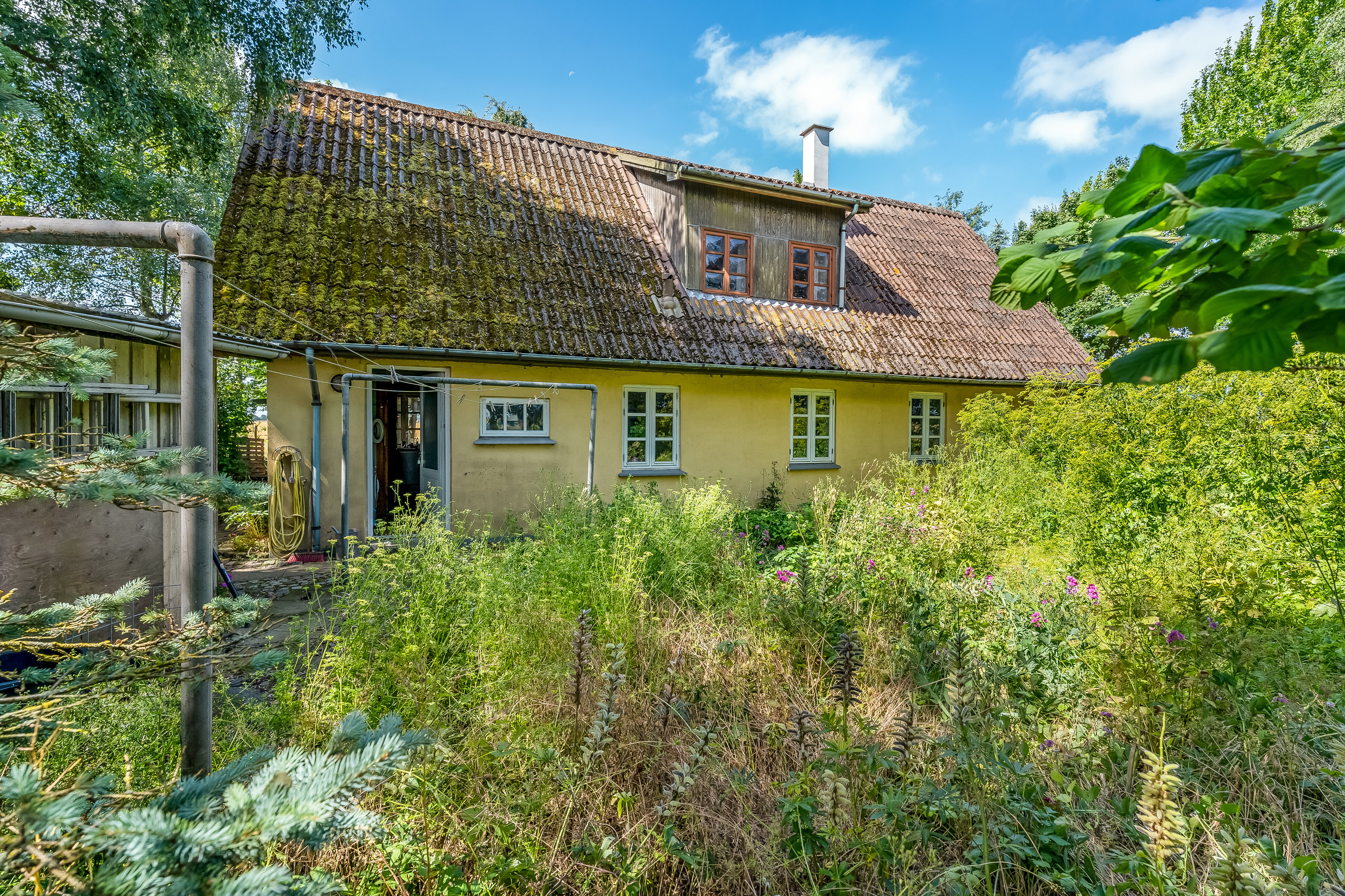 Miniaturebillede 1: have. Billede af Toftevej 108, Vindeby, 4913 Horslunde