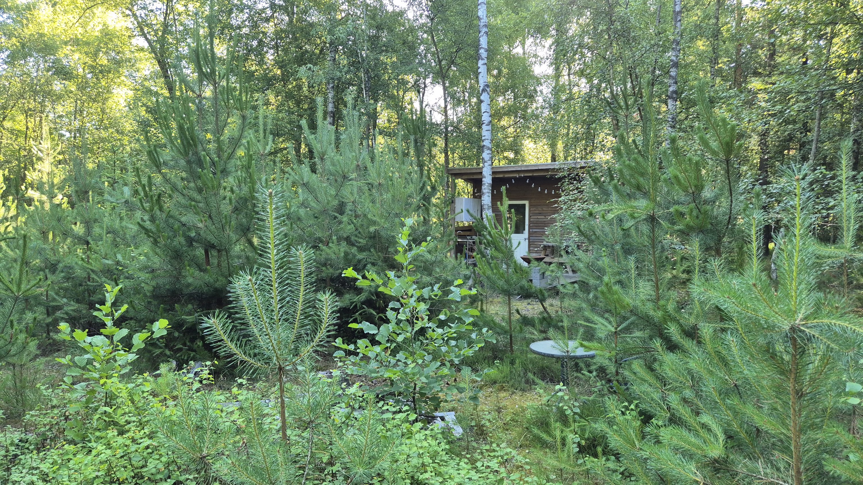 Fremhævet  billede i fuldskærmstilstand. Billede af Blågranvej 18, Byrum, 9940 Læsø