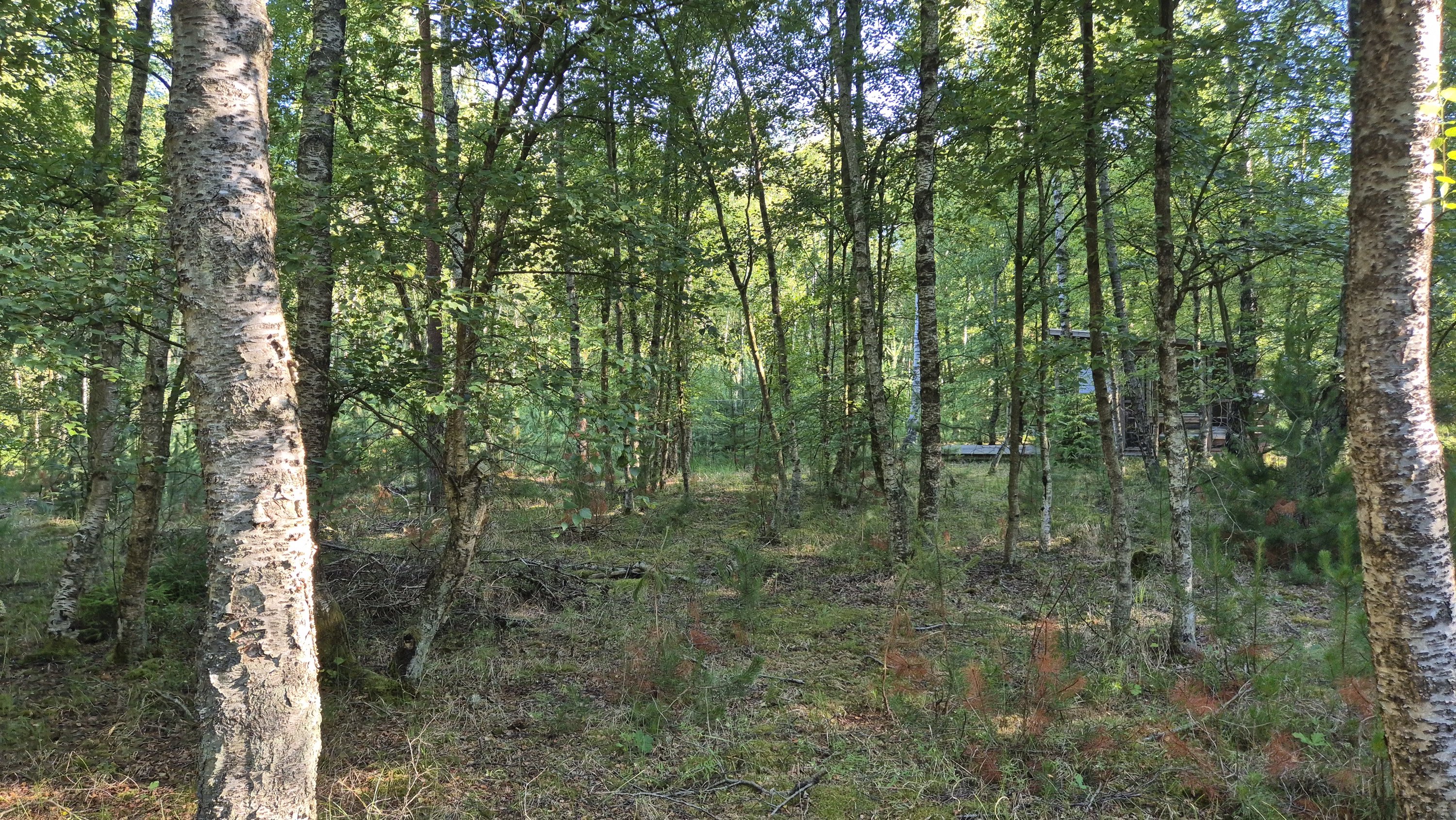 Fremhævet  billede i fuldskærmstilstand. Billede af Blågranvej 18, Byrum, 9940 Læsø