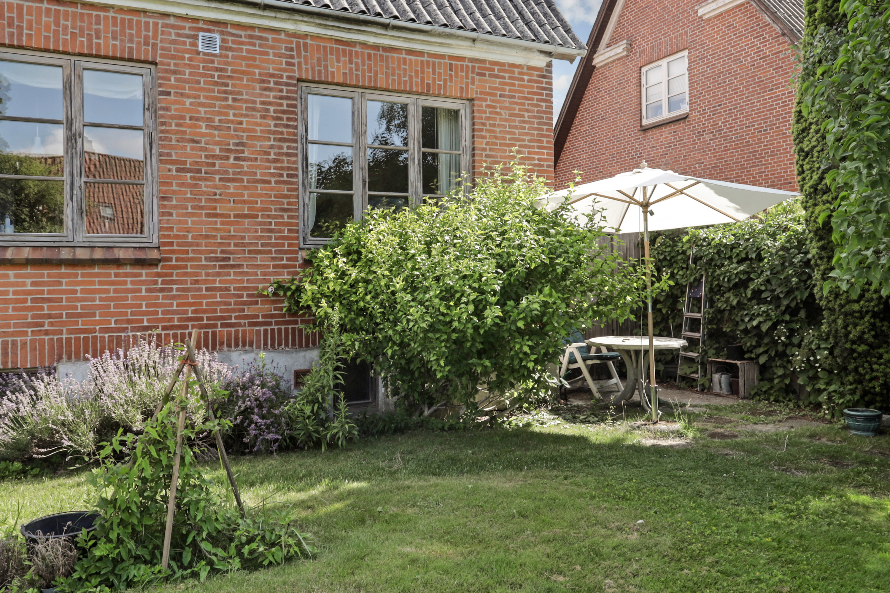 Miniaturebillede 2: have. Billede af Grev Schacks Vej 36, 5700 Svendborg