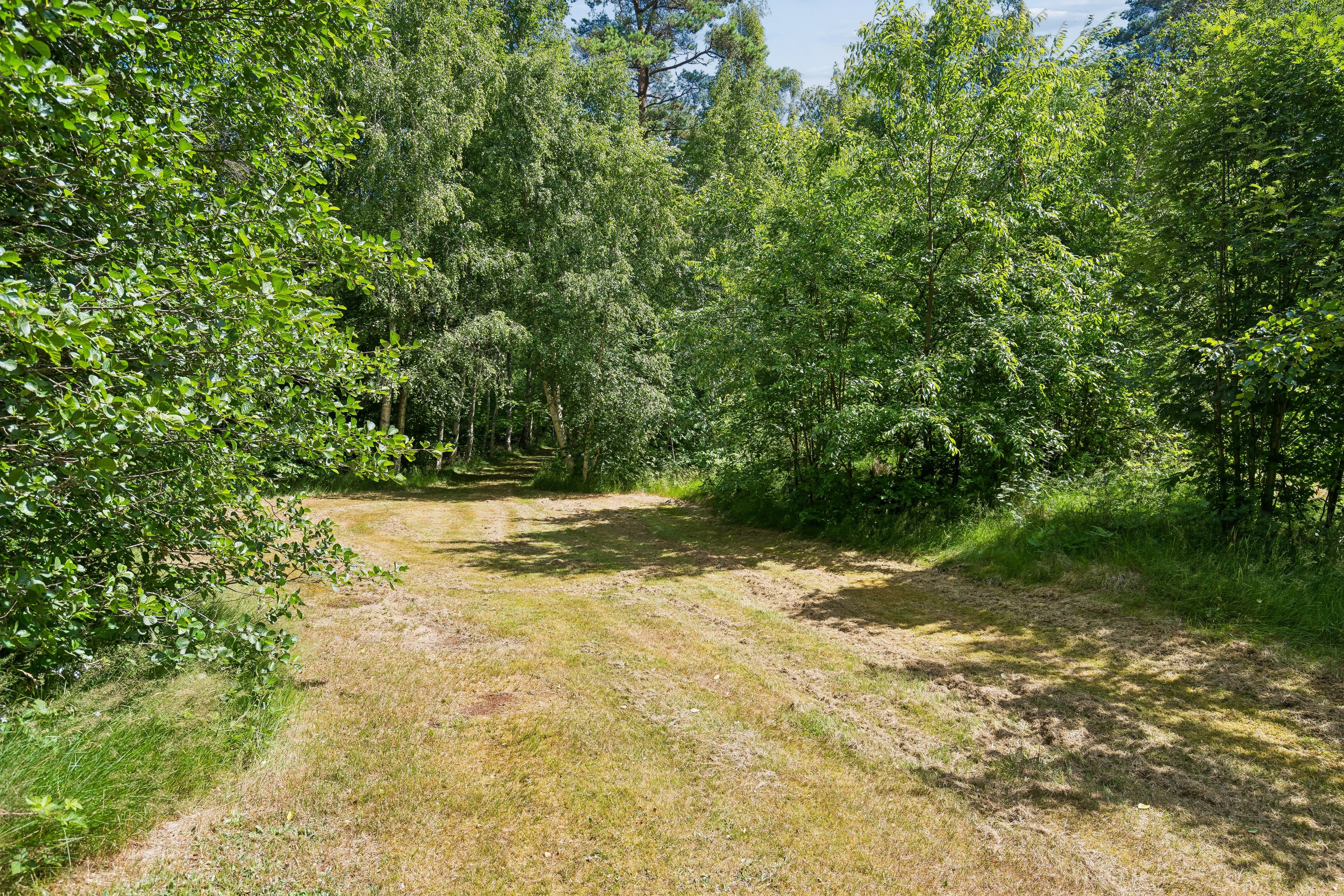 Fremhævet grund billede i fuldskærmstilstand. Billede af Tyttebærvej 2, Byrum, 9940 Læsø
