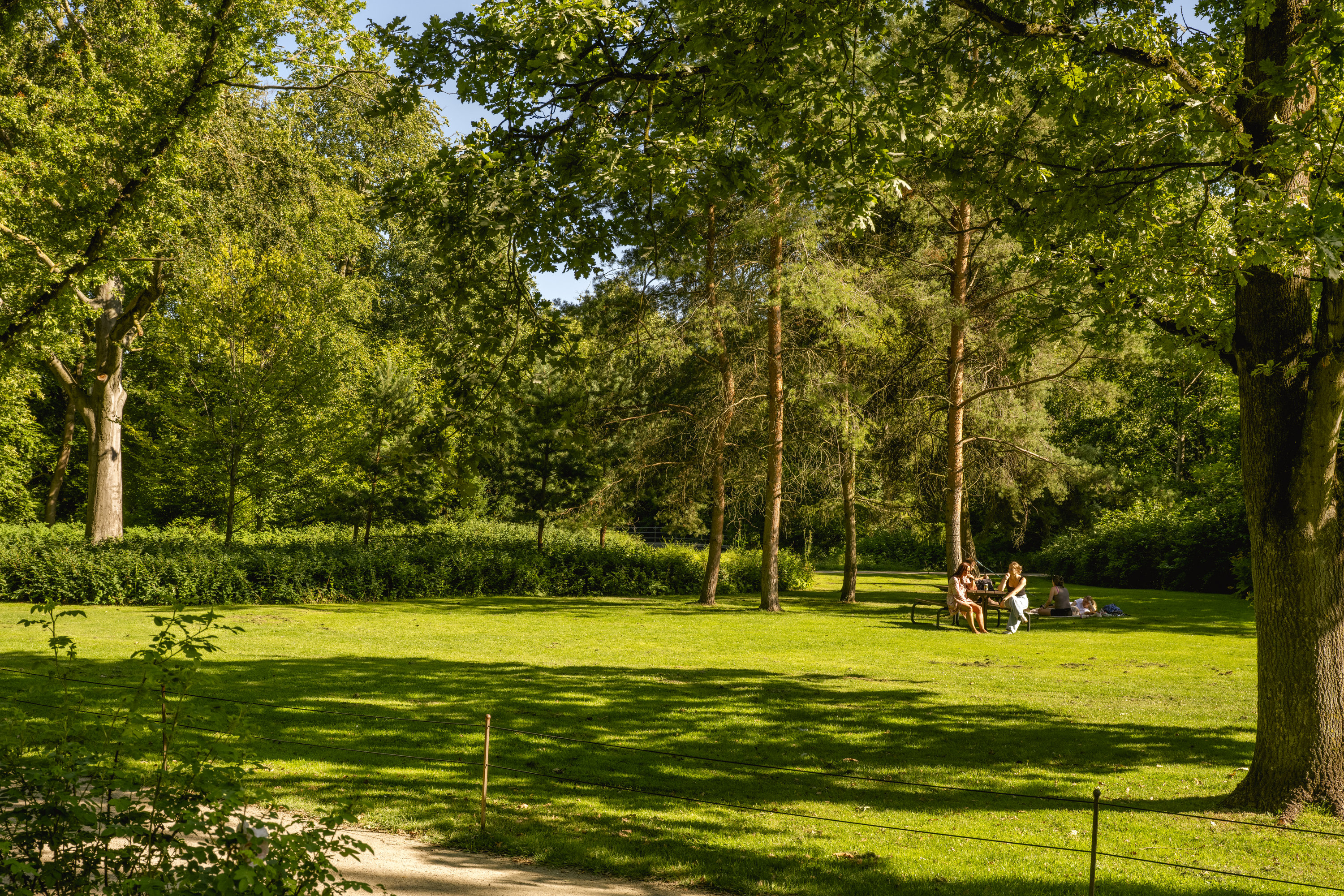 Fremhævet  billede i fuldskærmstilstand. Billede af Porcelænshaven 4G, 2. mf., 2000 Frederiksberg