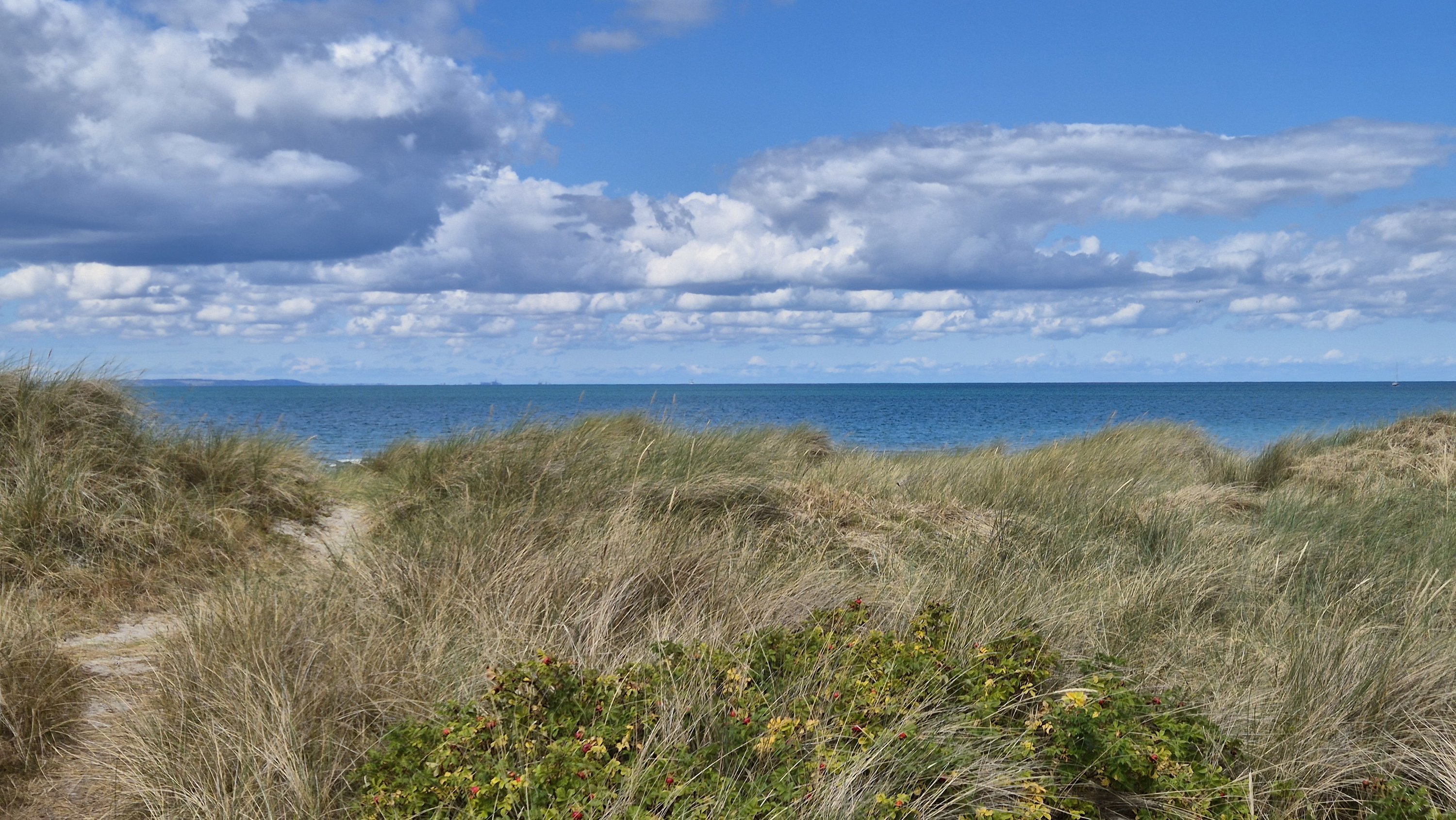 Ejerlejlighed på Strandkanten 11, Vesterø Havn, 9940 Læsø