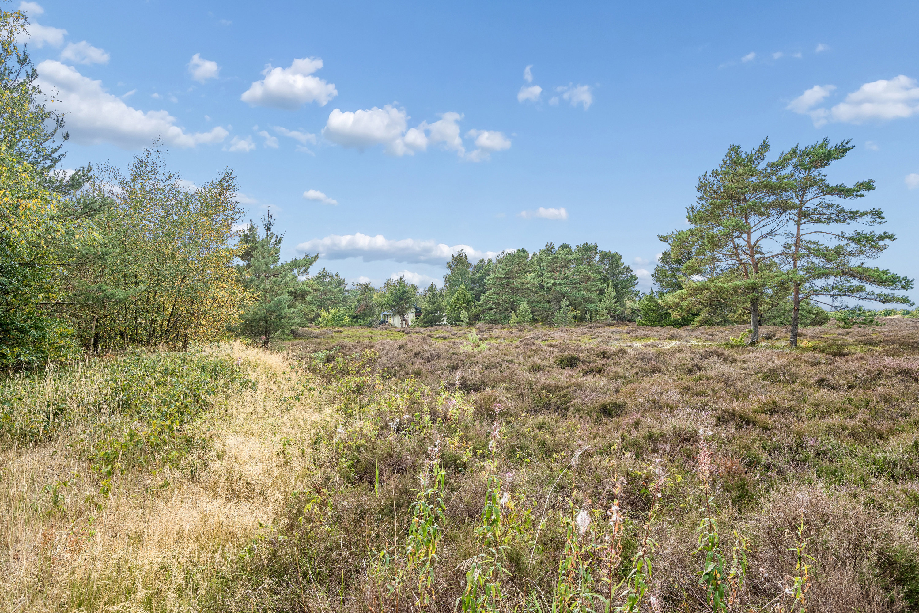 Fremhævet have billede i fuldskærmstilstand. Billede af Langvarigheden 15, 9940 Læsø