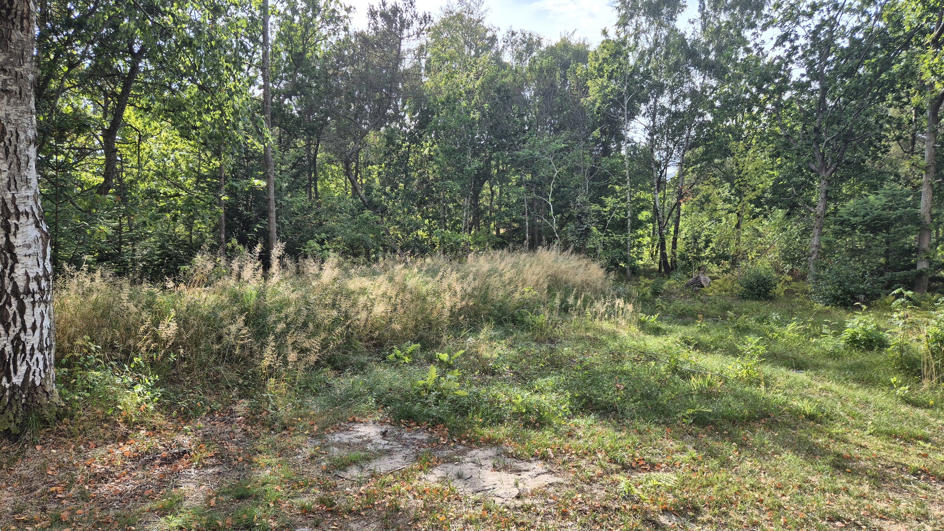 Fremhævet  billede i fuldskærmstilstand. Billede af Bekkasinvej 1, Vesterø, 9940 Læsø