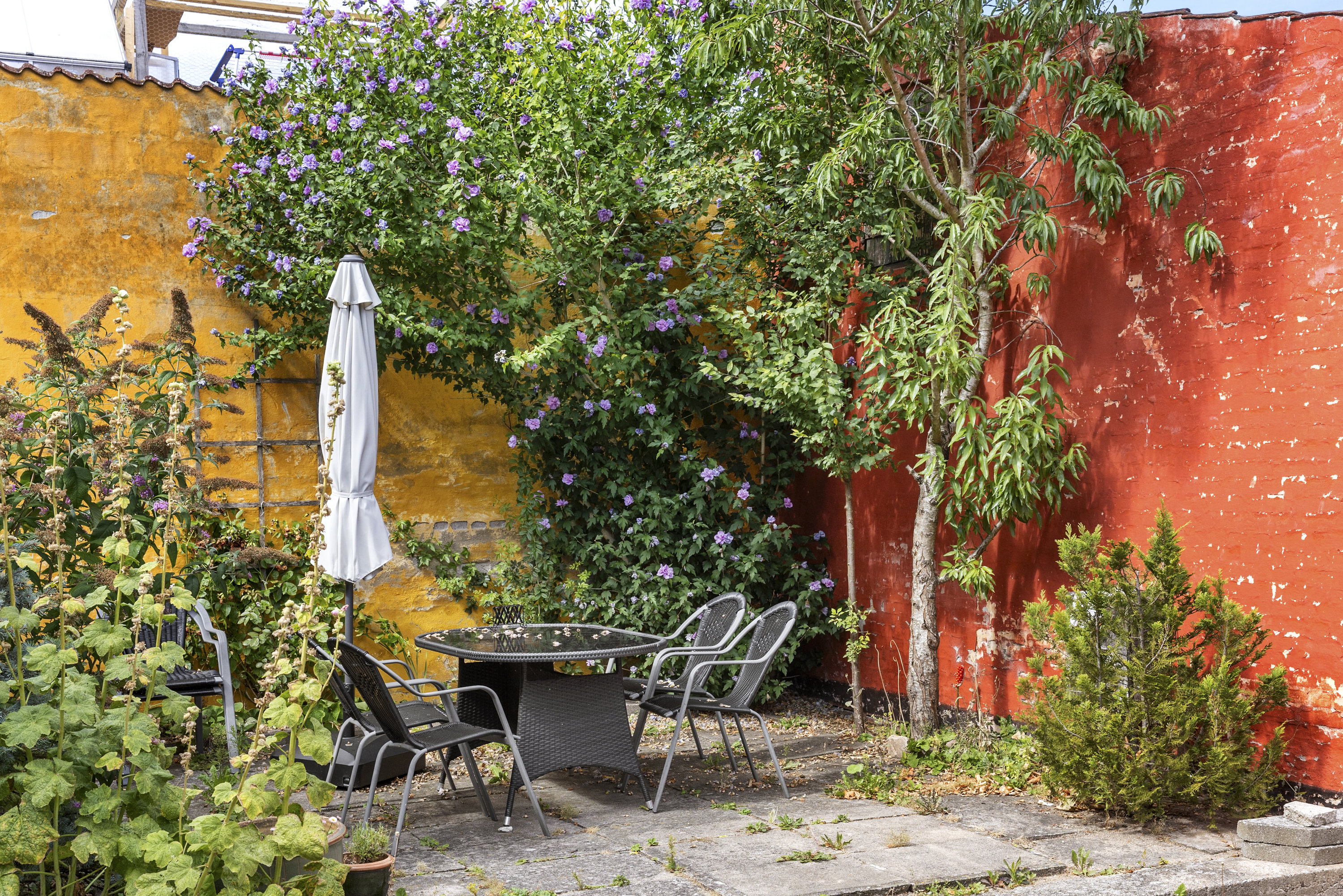 Fremhævet terrasse billede i fuldskærmstilstand. Billede af Vestergade 10, 1. tv., 4230 Skælskør