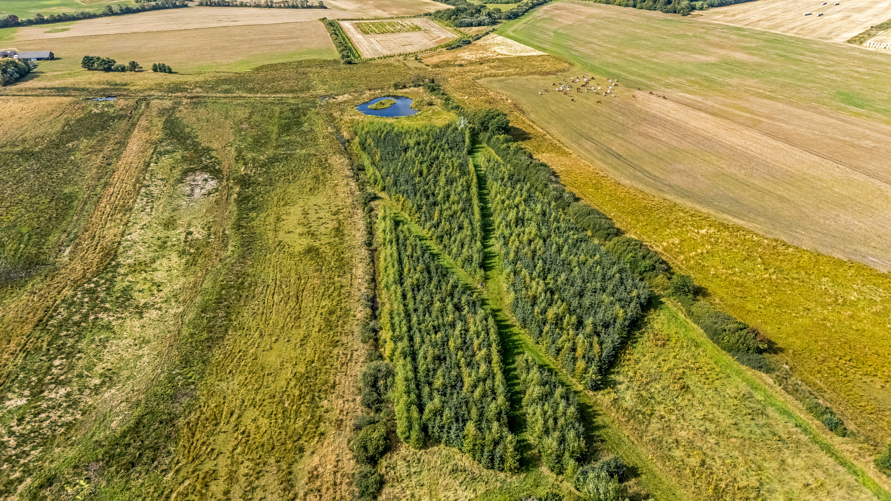 Fremhævet luftfoto billede i fuldskærmstilstand. Billede af Vilhelmsborgvej 104, Møborg, 7660 Bækmarksbro