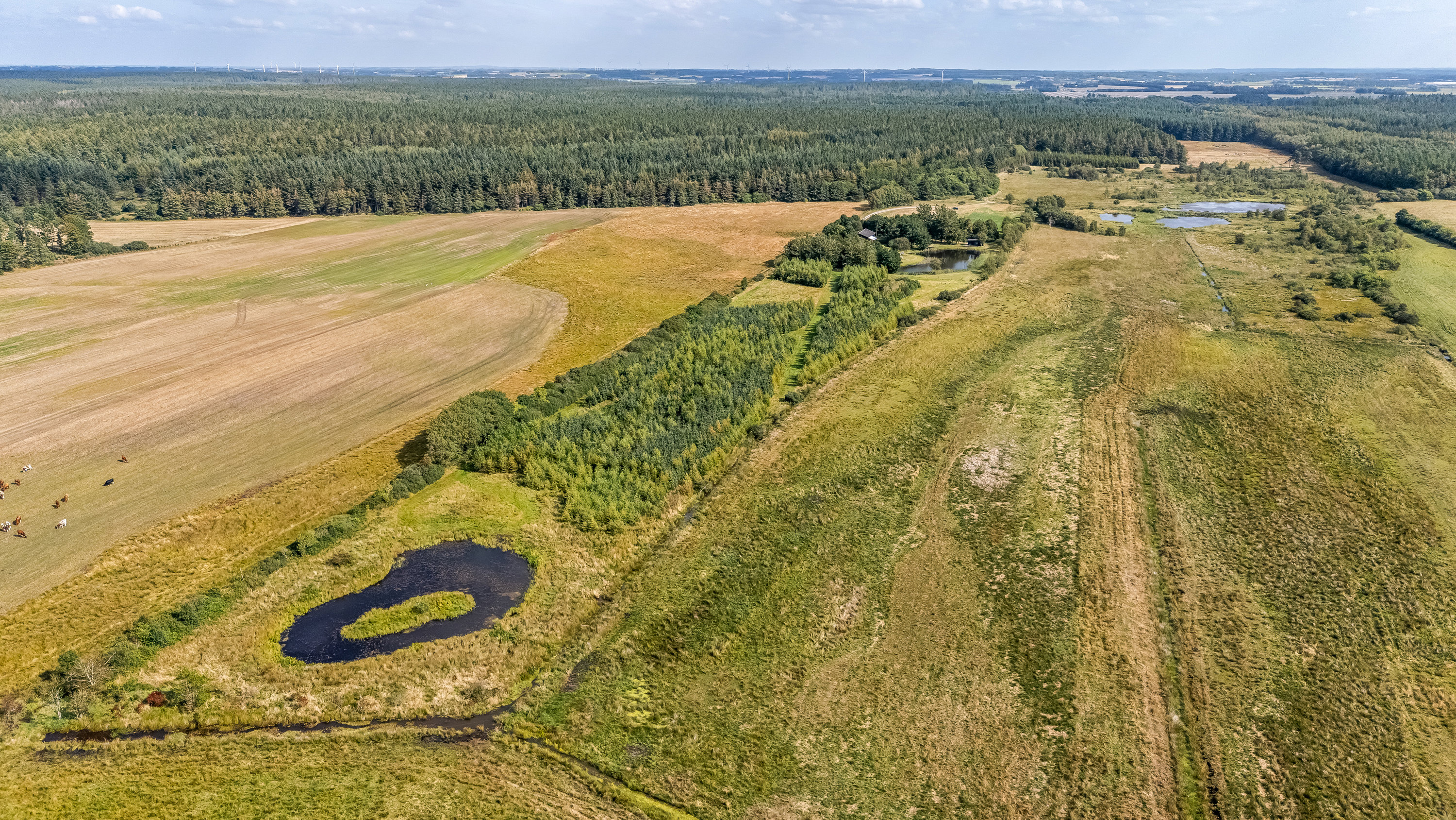 Fremhævet luftfoto billede i fuldskærmstilstand. Billede af Vilhelmsborgvej 104, Møborg, 7660 Bækmarksbro