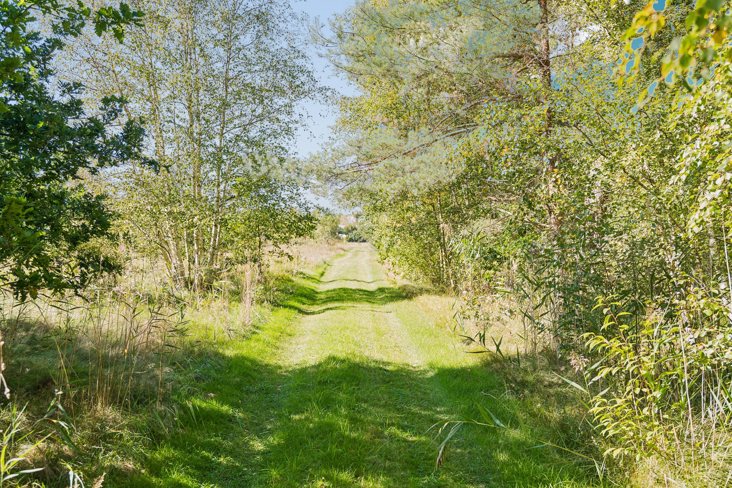 Fremhævet grund billede i fuldskærmstilstand. Billede af Fædrelandsvej 6, Byrum, 9940 Læsø