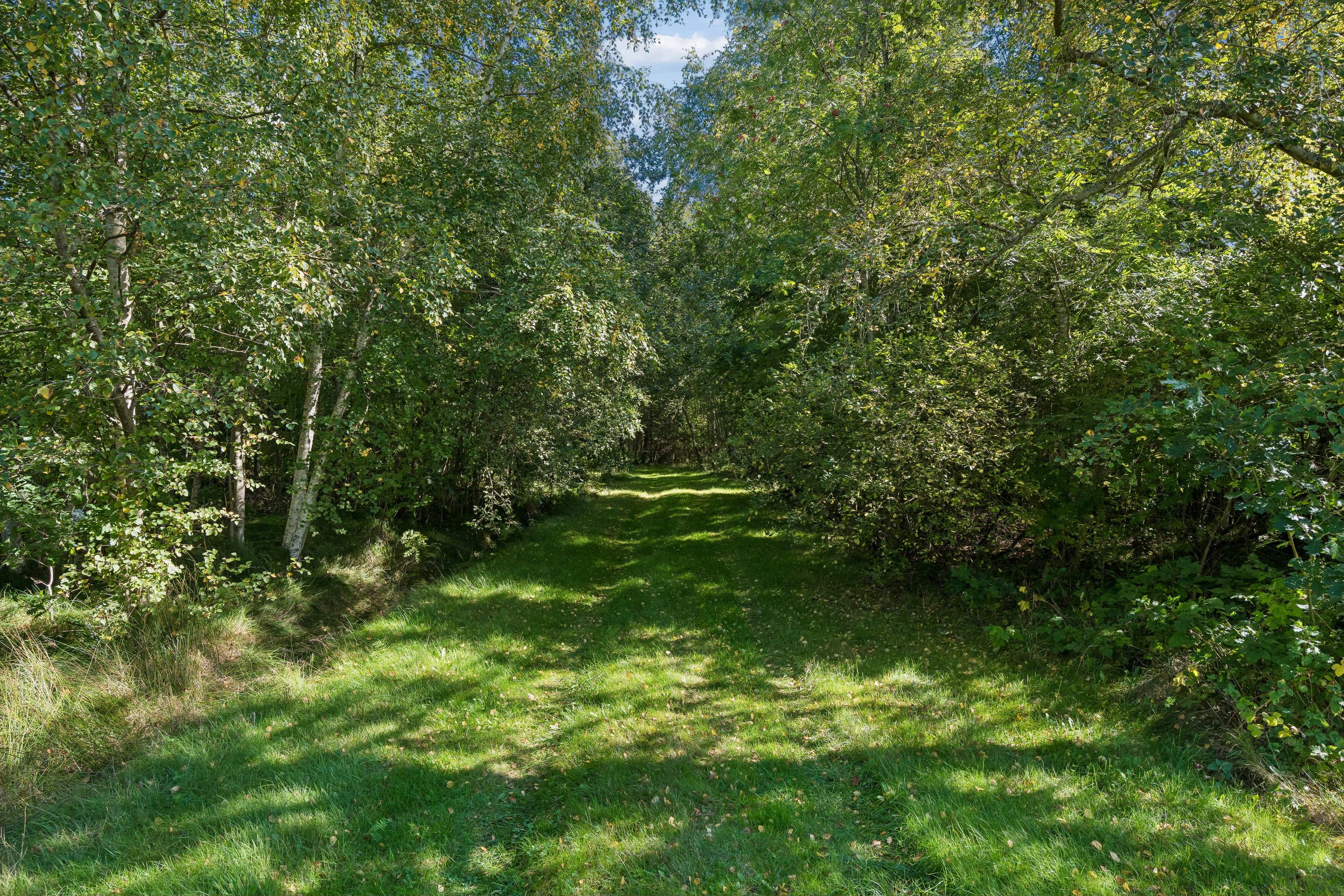 Fremhævet have billede i fuldskærmstilstand. Billede af Fædrelandsvej 6, Byrum, 9940 Læsø