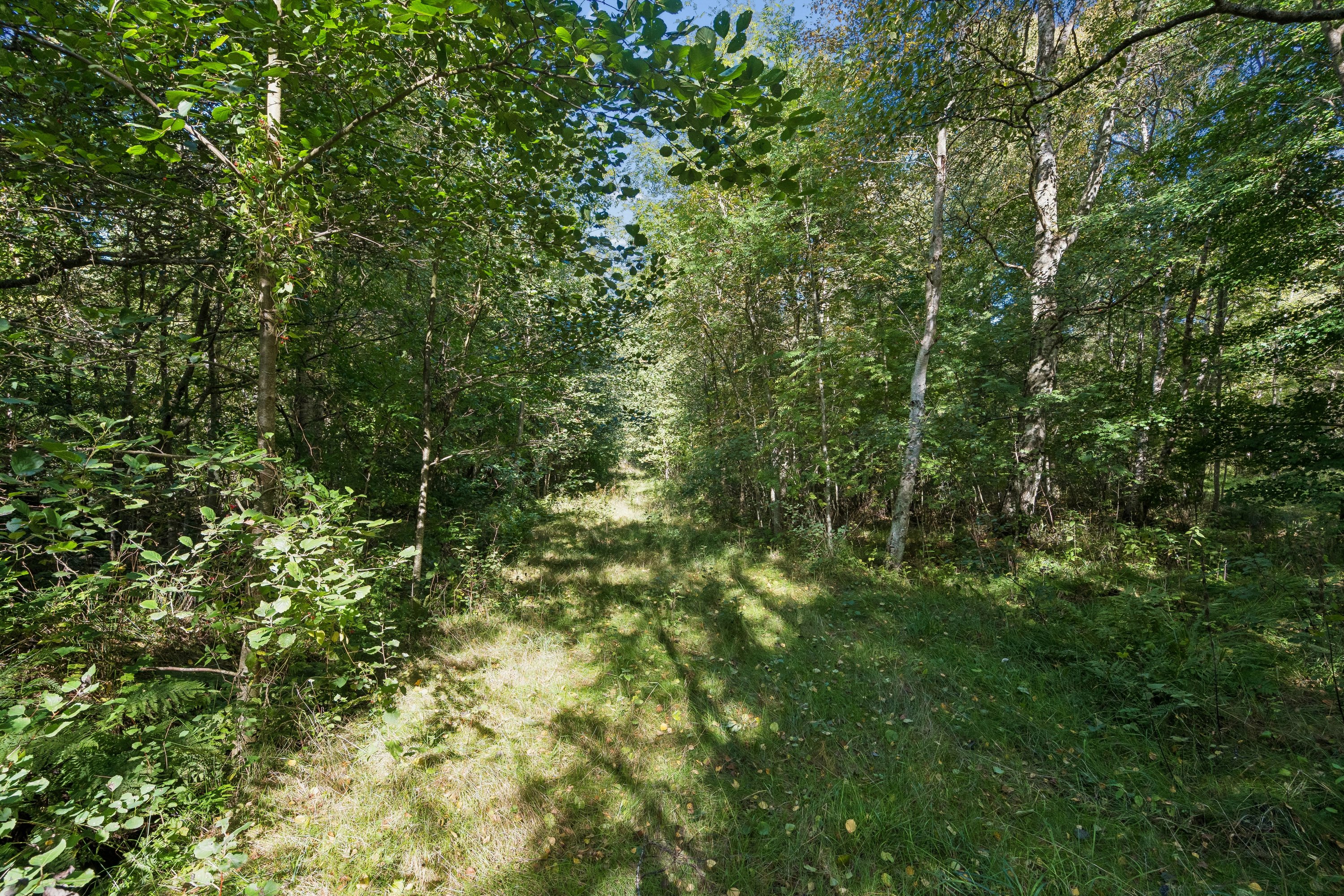 Fremhævet have billede i fuldskærmstilstand. Billede af Fædrelandsvej 6, Byrum, 9940 Læsø