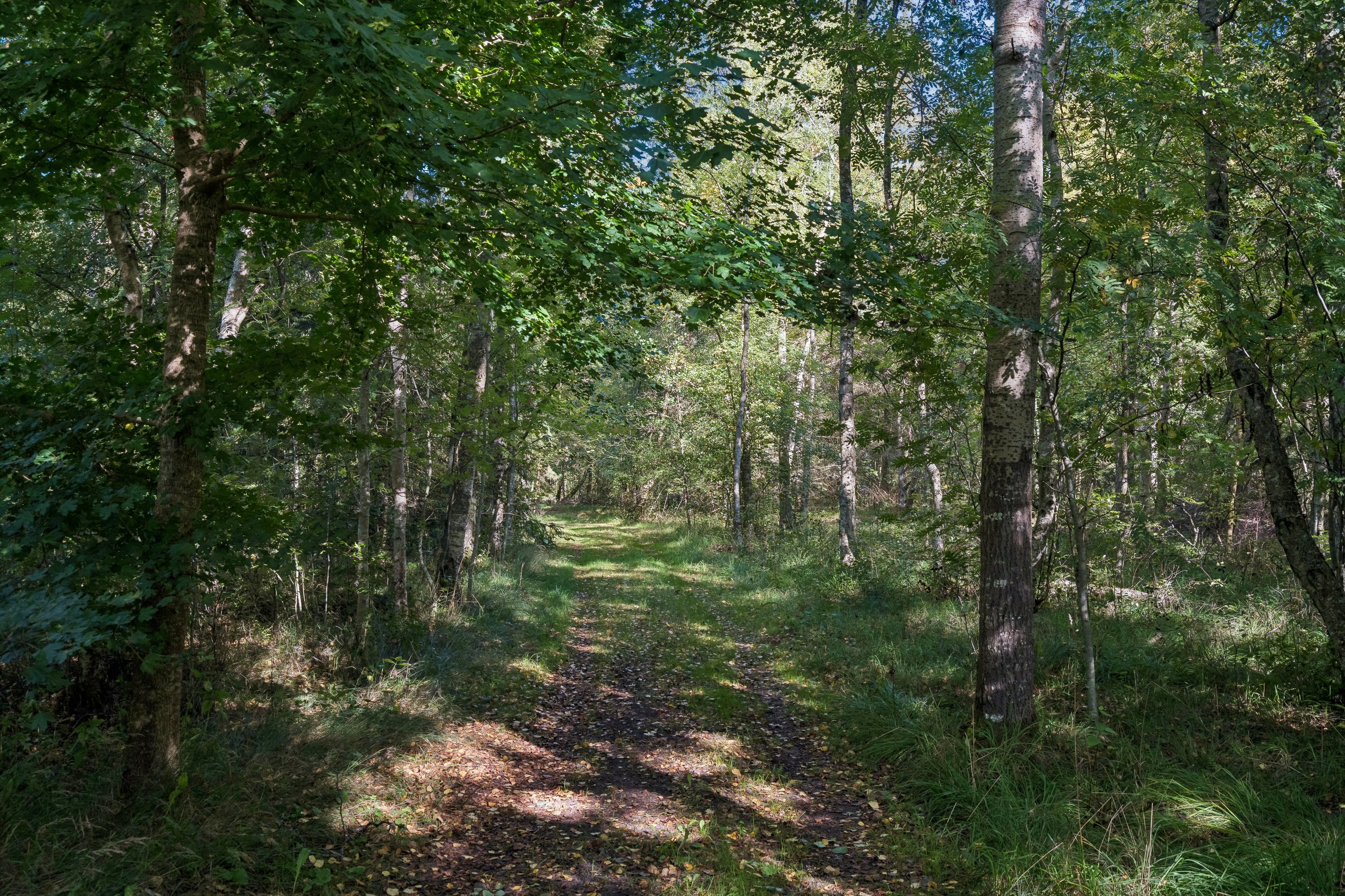 Fremhævet grund billede i fuldskærmstilstand. Billede af Fædrelandsvej 6, Byrum, 9940 Læsø