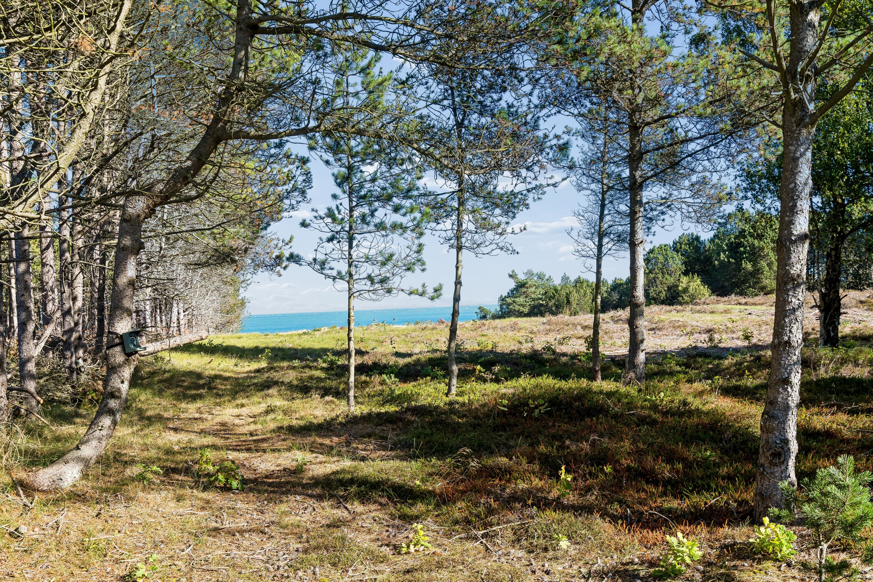 Fremhævet have billede i fuldskærmstilstand. Billede af Rosmarinvej 2, Vesterø Havn, 9940 Læsø