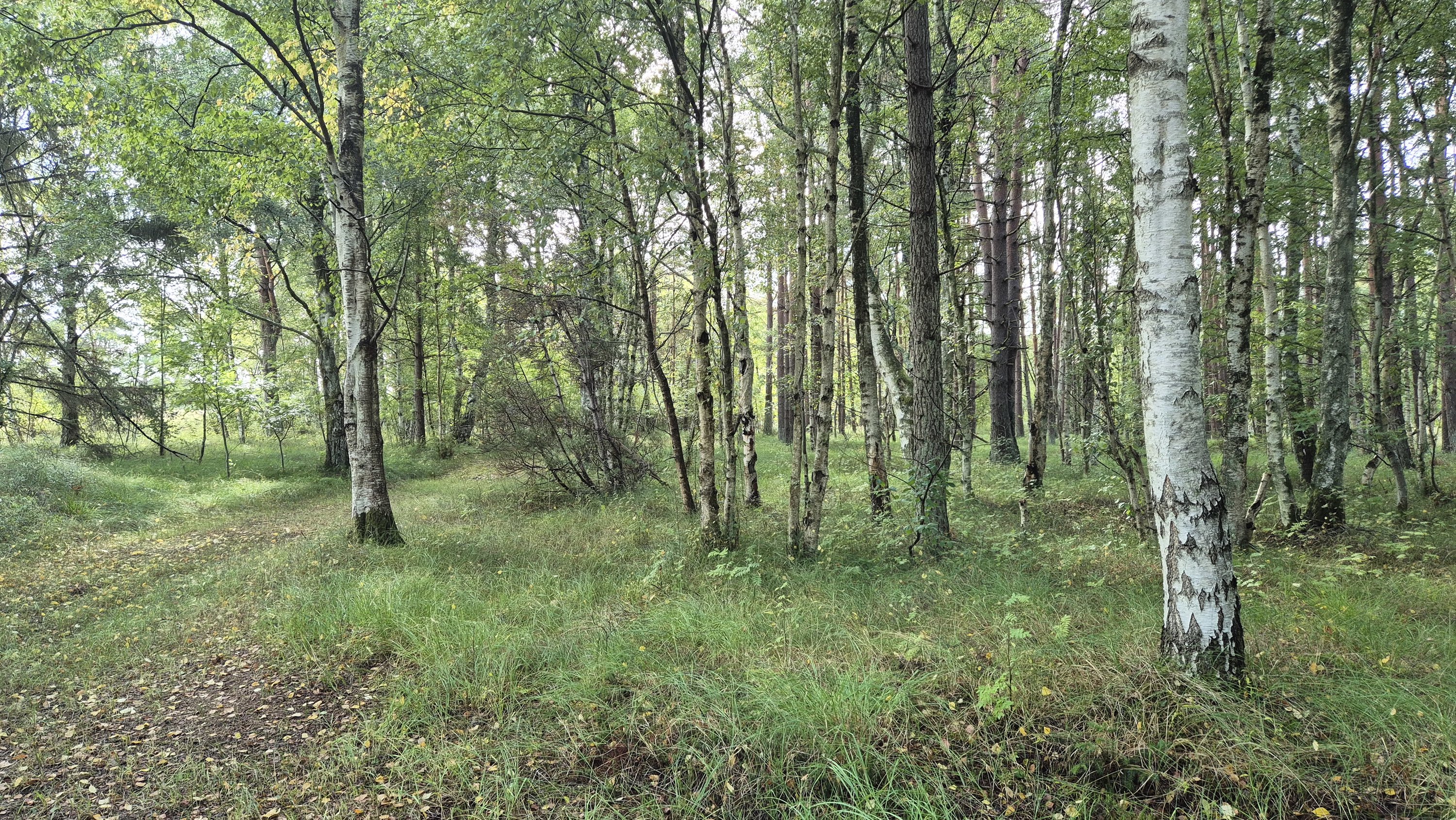 Fremhævet  billede i fuldskærmstilstand. Billede af Rådyrvej 15, 9940 Læsø