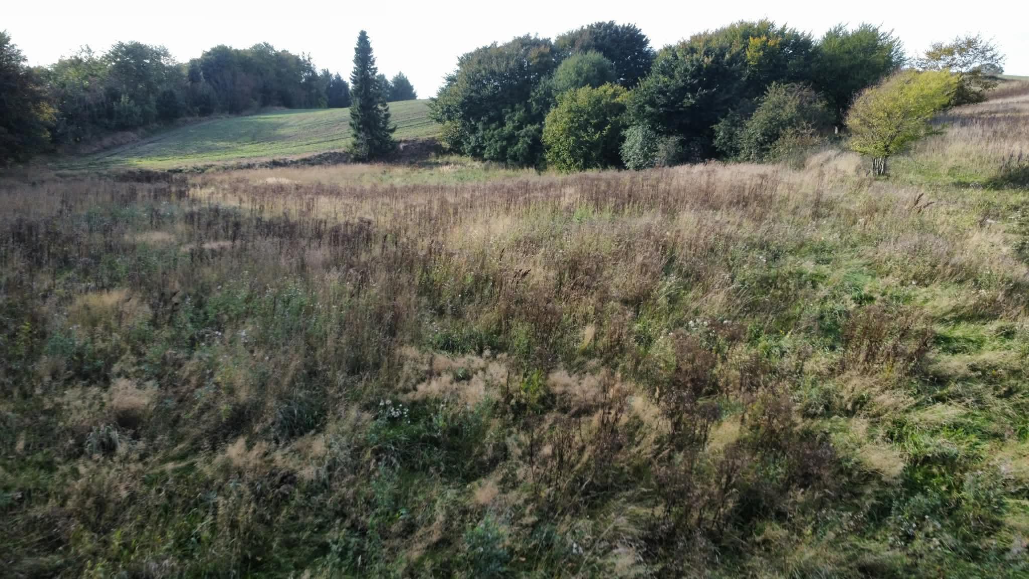 Fremhævet  billede i fuldskærmstilstand. Billede af Lendumvej 529, Lendum, 9870 Sindal