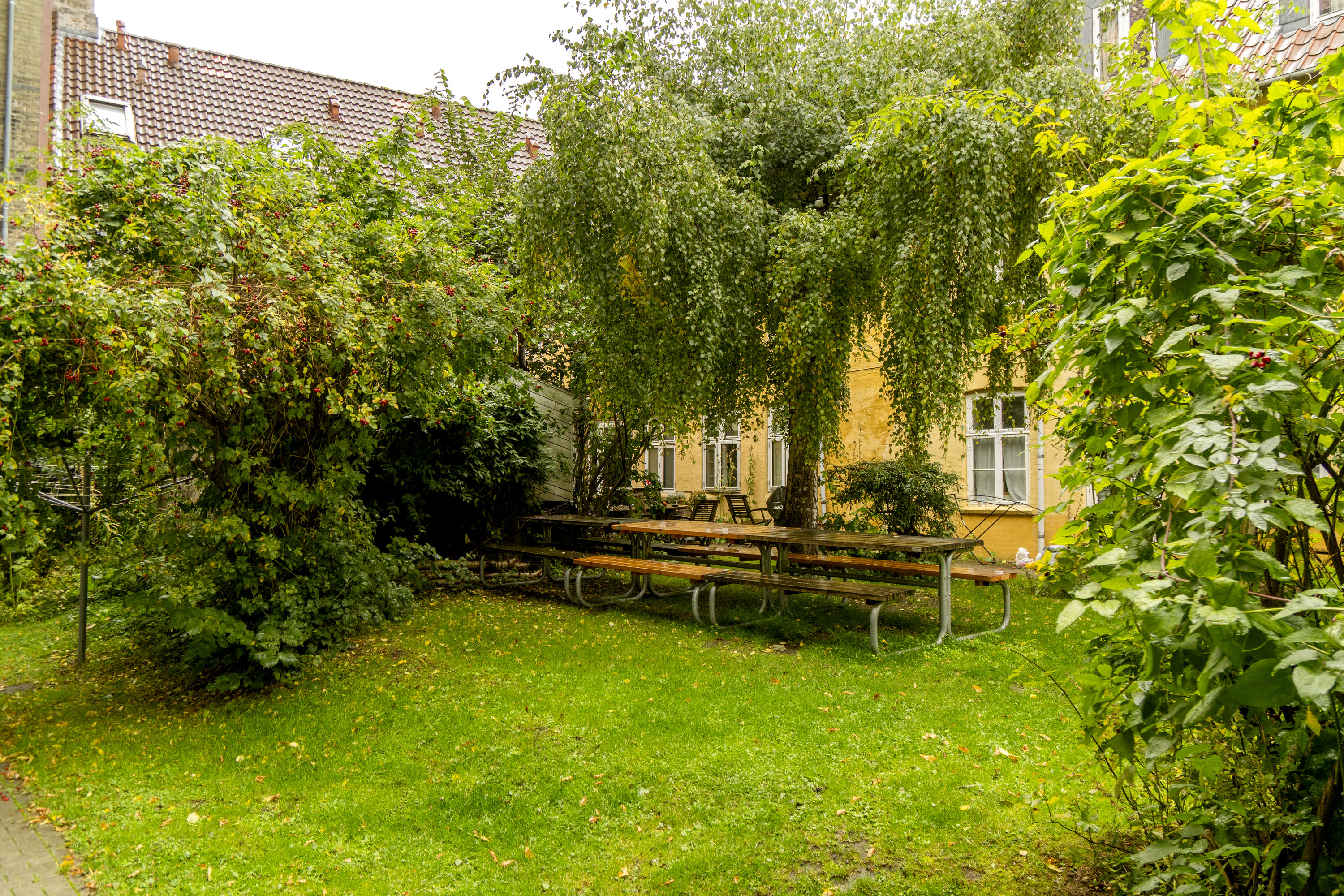 Miniaturebillede 1: . Billede af Guldbergsgade 49, 1. tv., 2200 København N