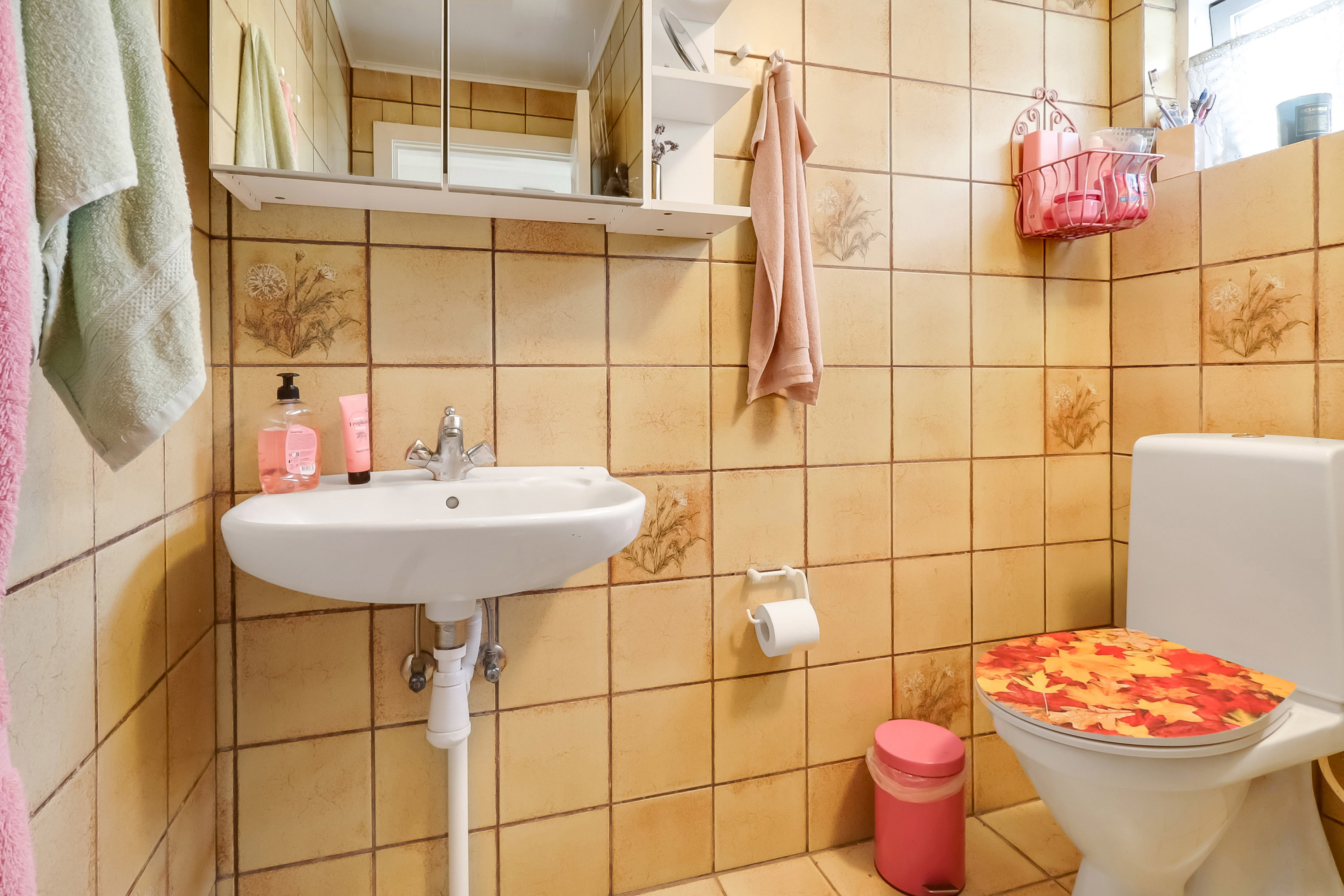 Fremhævet toilet billede i fuldskærmstilstand. Billede af Drejø Brovej 9, Drejø, 5700 Svendborg