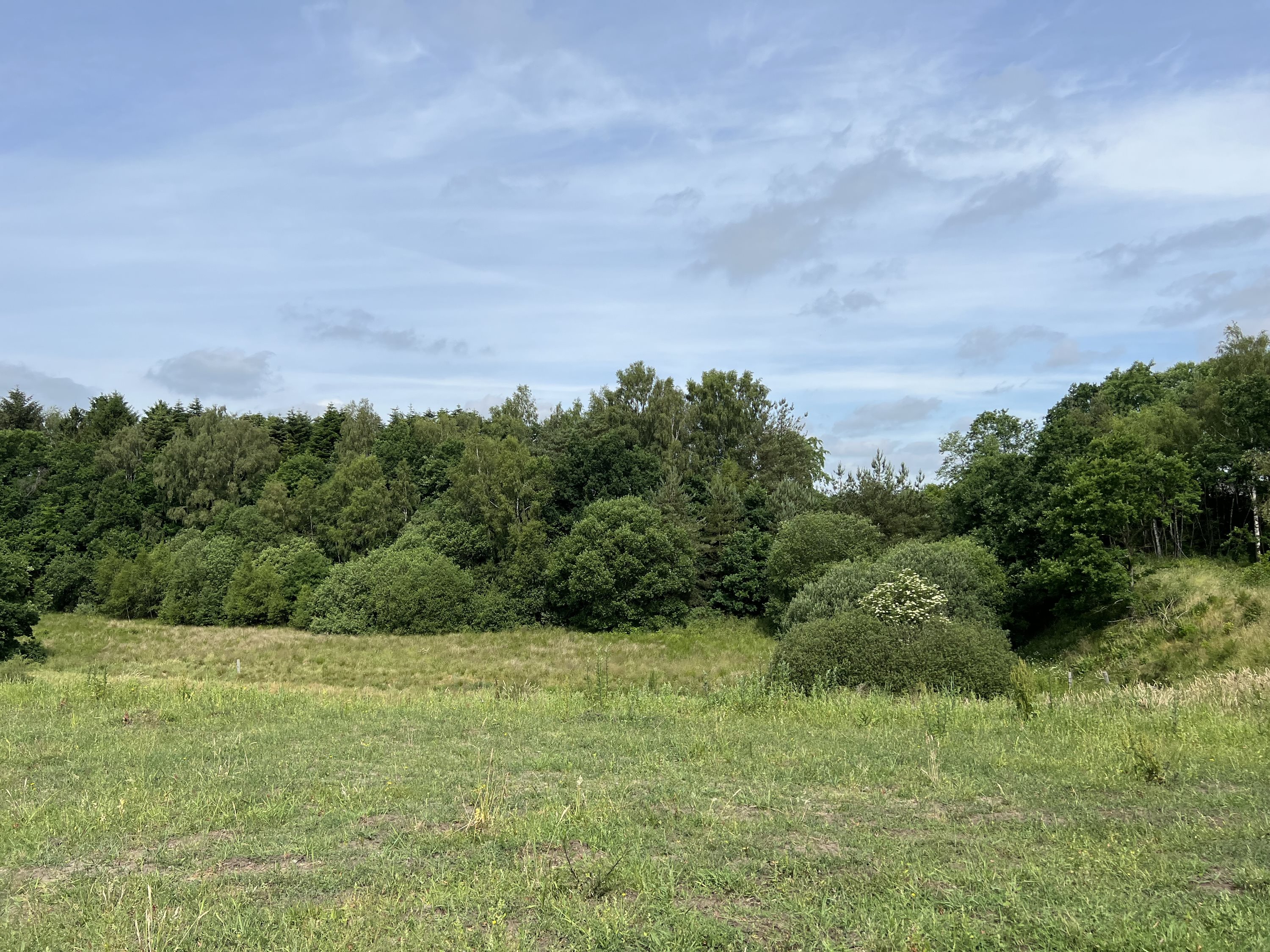 Fremhævet andet billede i fuldskærmstilstand. Billede af Kolbæk Parken 18, 8800 Viborg