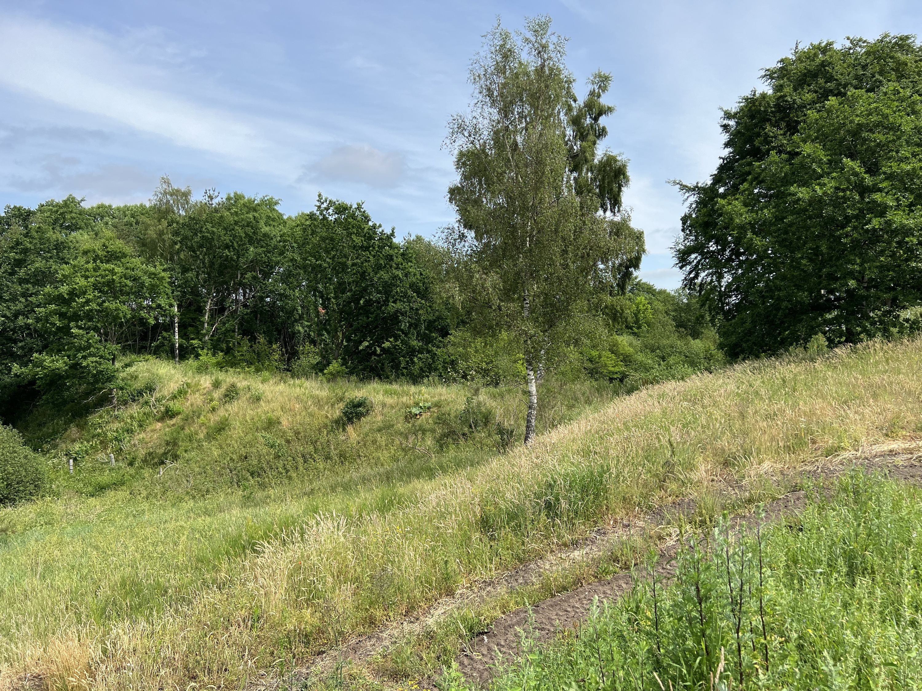 Fremhævet andet billede i fuldskærmstilstand. Billede af Kolbæk Parken 18, 8800 Viborg