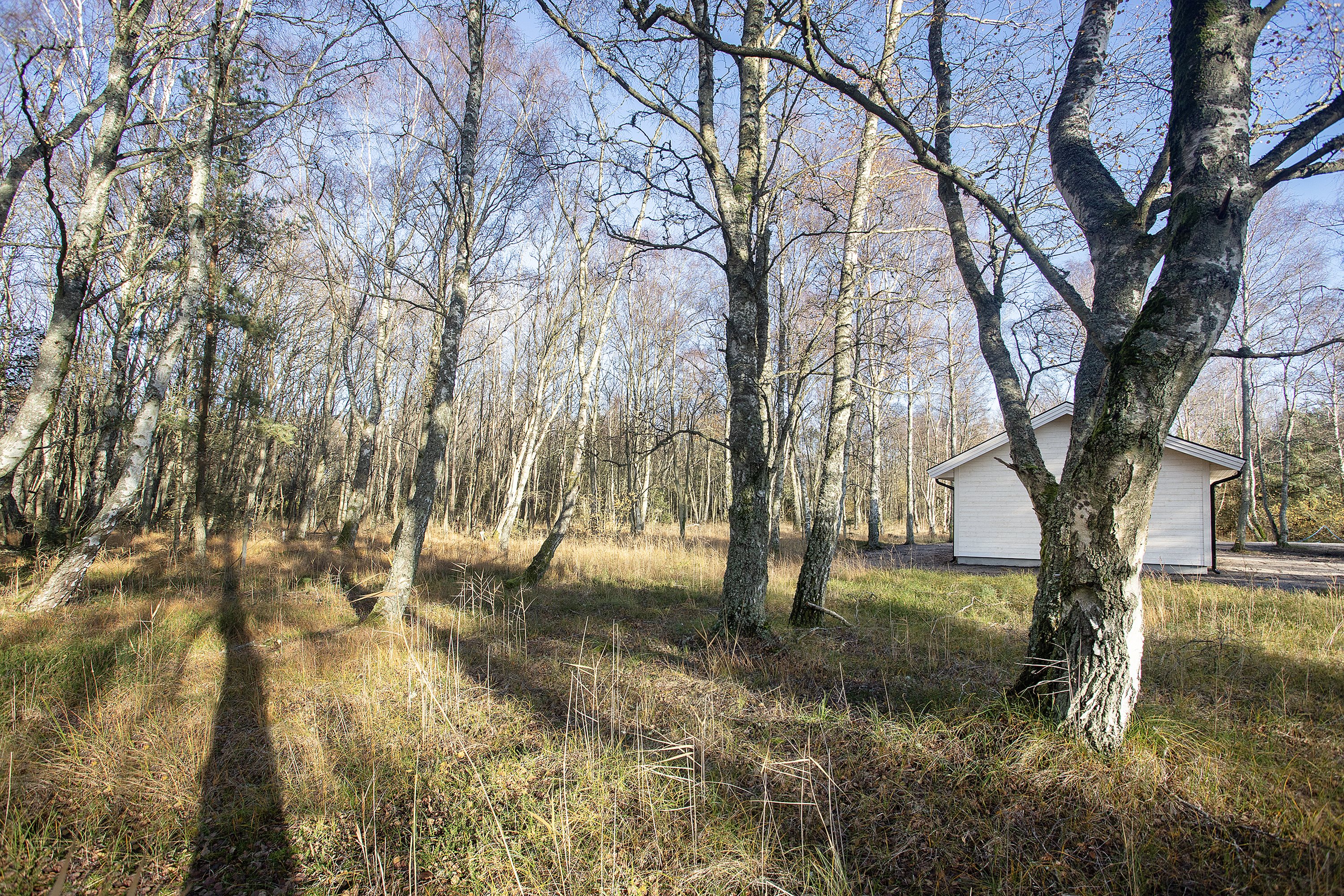 Fremhævet andet billede i fuldskærmstilstand. Billede af Hyldebærvej 8, Remmerne, 9940 Læsø