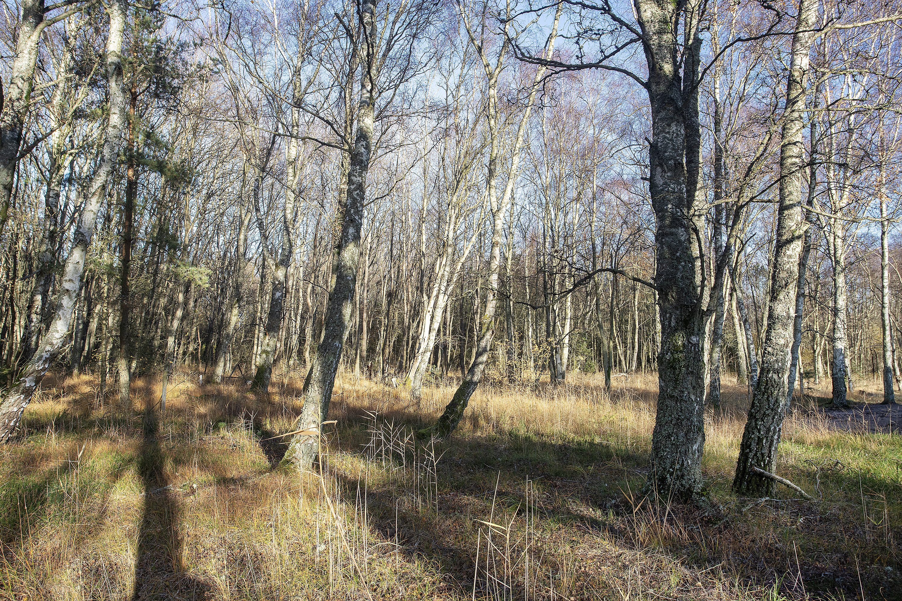 Fremhævet andet billede i fuldskærmstilstand. Billede af Hyldebærvej 8, Remmerne, 9940 Læsø