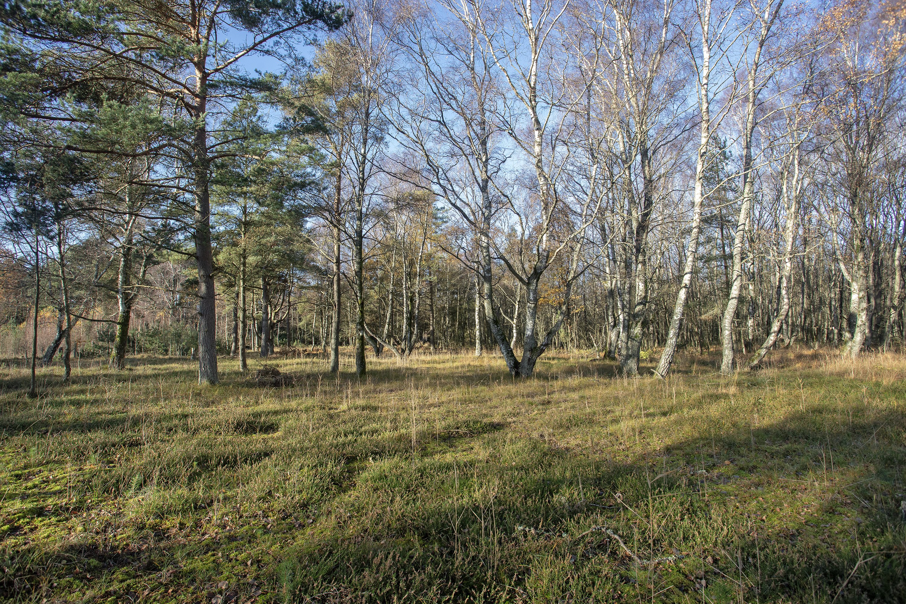 Fremhævet andet billede i fuldskærmstilstand. Billede af Hyldebærvej 8, Remmerne, 9940 Læsø