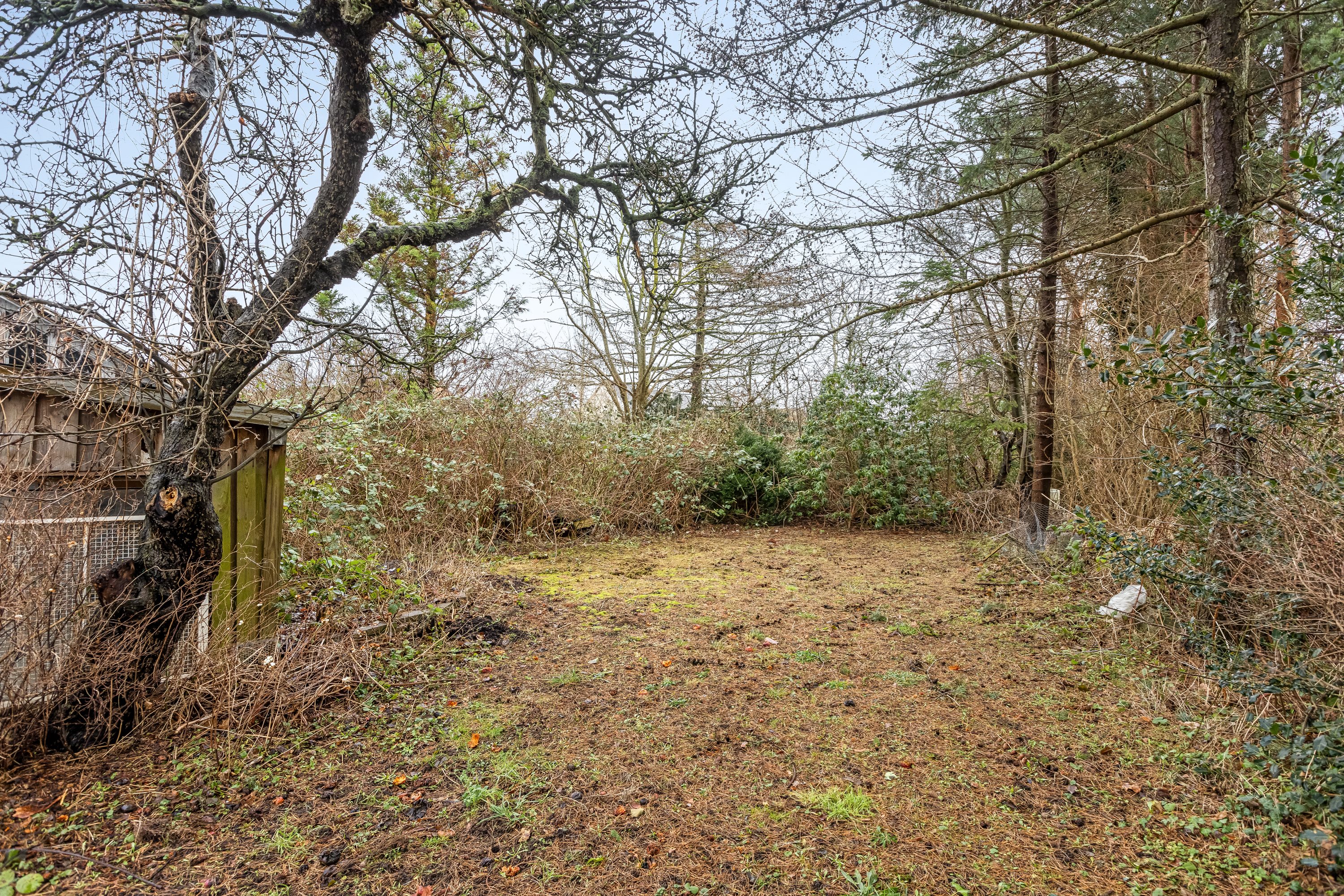 Fremhævet have billede i fuldskærmstilstand. Billede af Banevej 60, 4220 Korsør