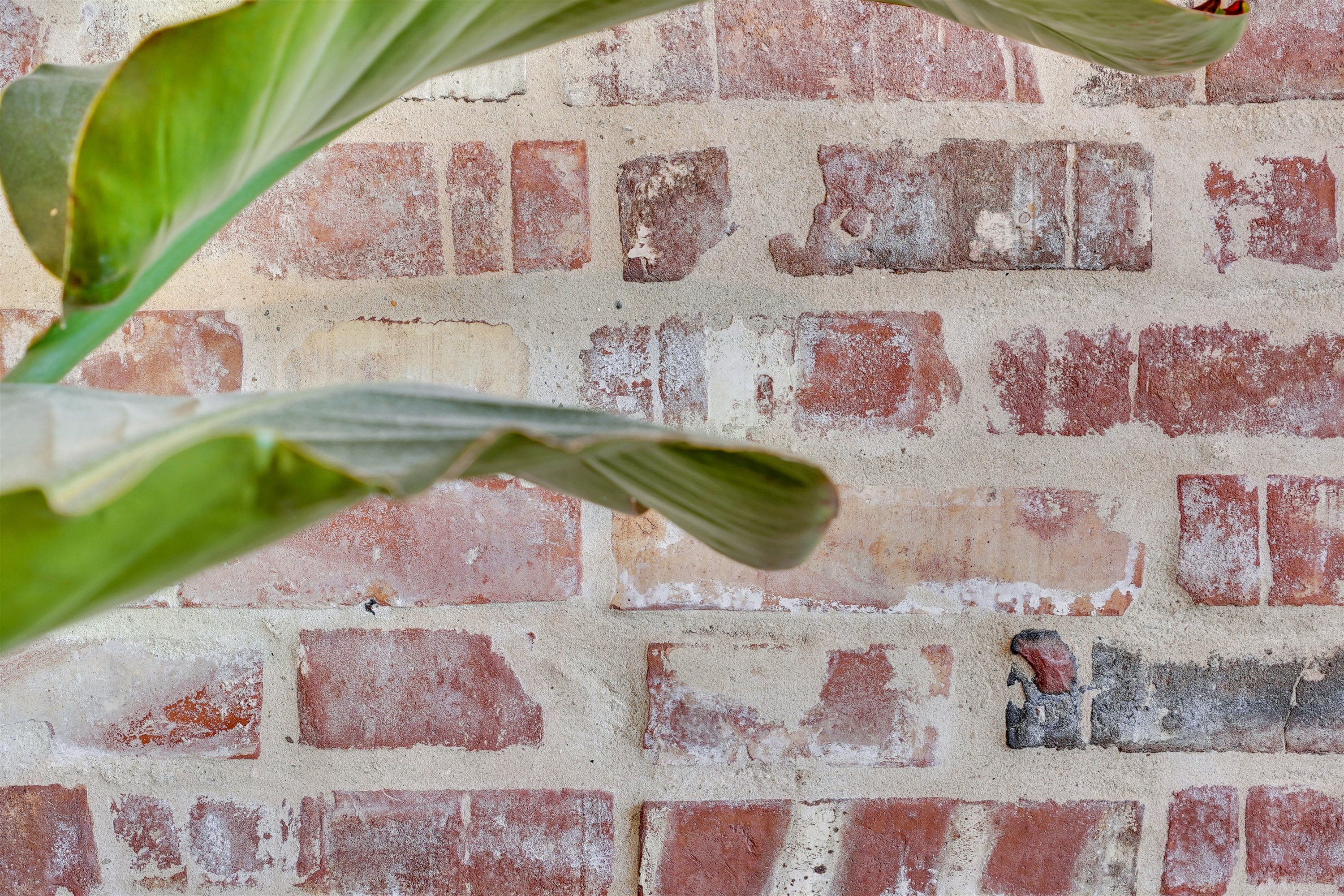 Fremhævet stue billede i fuldskærmstilstand. Billede af Østergade 61, 1., 6700 Esbjerg