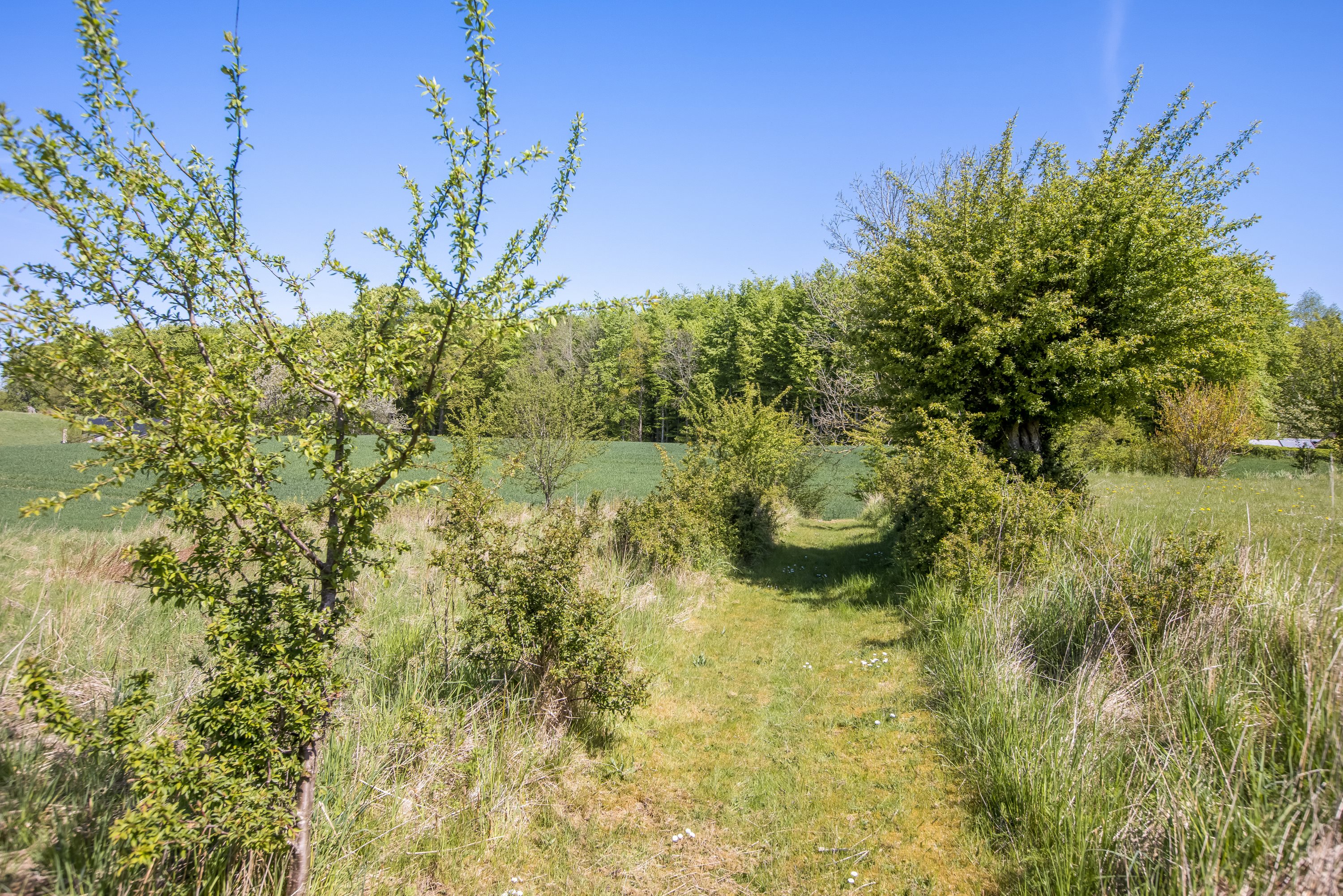 Fremhævet grund billede i fuldskærmstilstand. Billede af Svalmstrupvej 7, Svalmstrup, 4174 Jystrup Midtsj